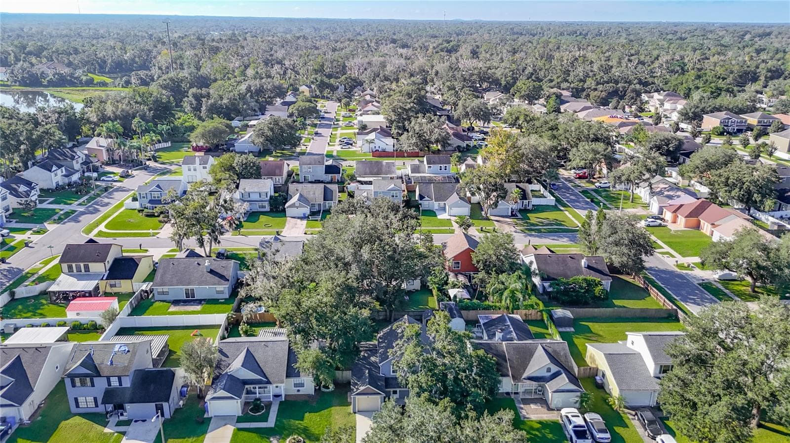 Single Family Residence at 607 BREEZEWAY CT, BRANDON, photo 53 of 54