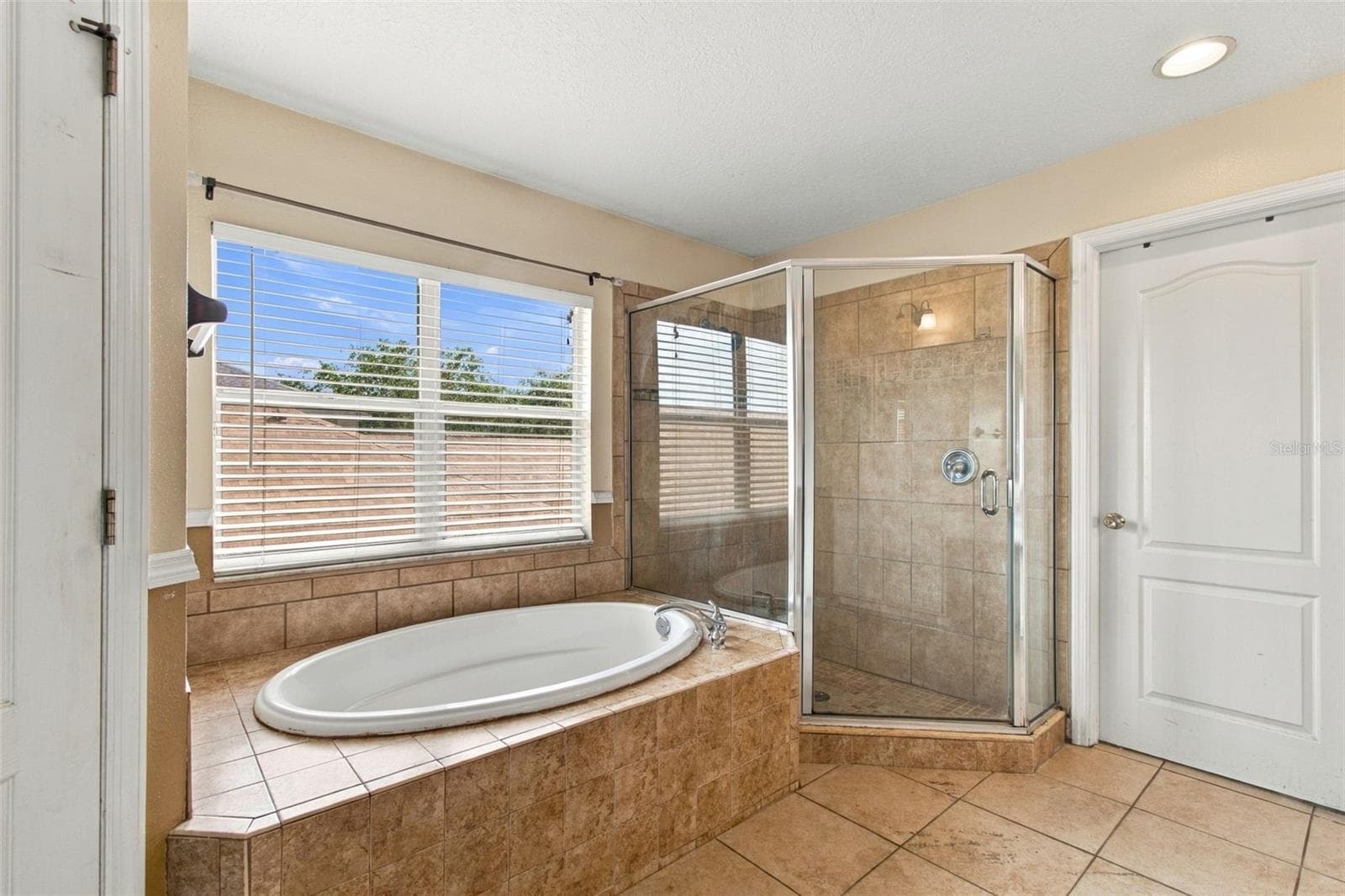 Single Family Residence at 19025 FISHERMANS BEND DR, LUTZ, photo 49 of 80