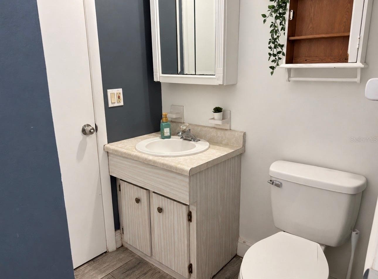 Jack & Jill (hallway bathroom) - 6745 LARCH LN, ORLANDO