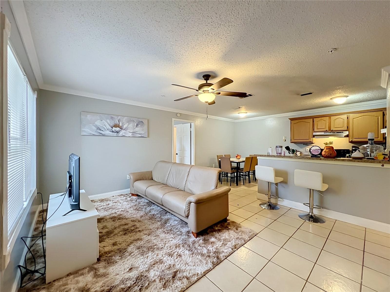 Condominium at 615 DORY LN #102, ALTAMONTE SPRINGS, photo 4 of 24