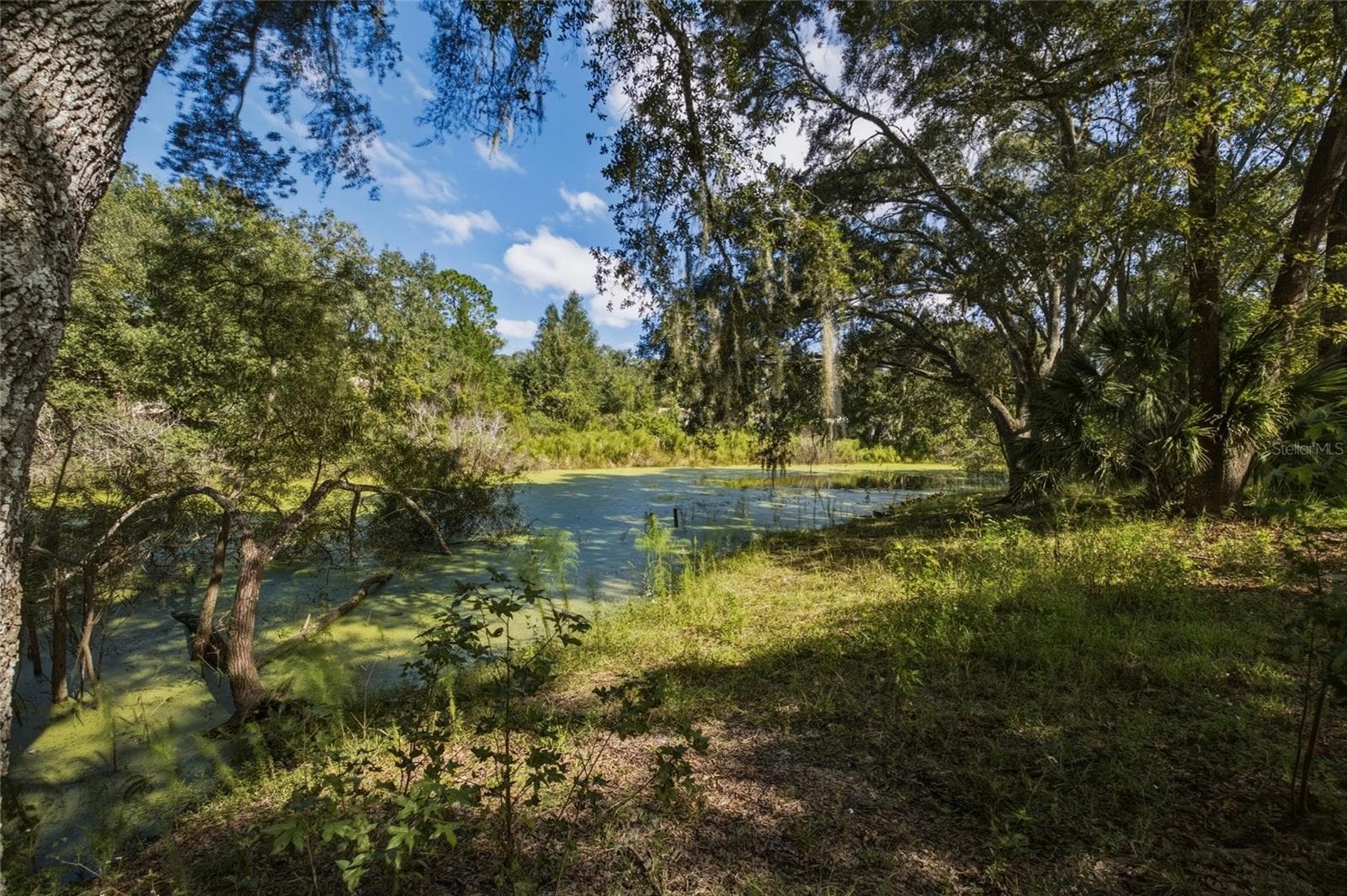 Land at 4854 SW 123RD RD, WEBSTER, photo 2 of 15