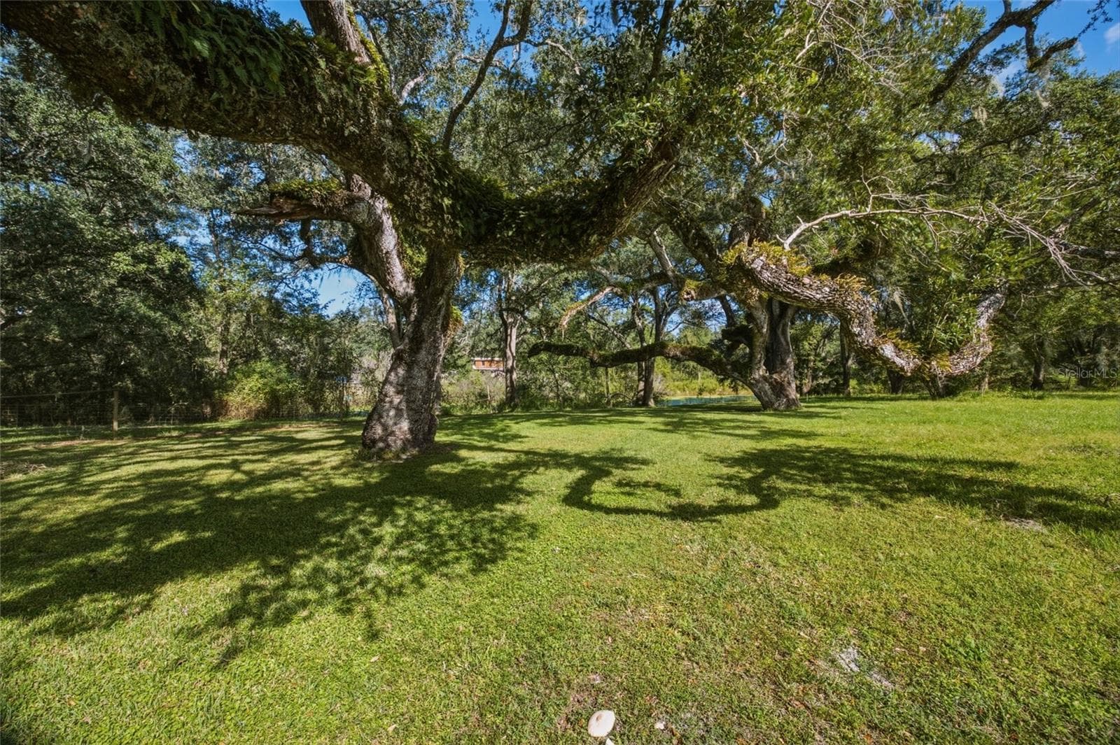 Land at 4854 SW 123RD RD, WEBSTER, photo 9 of 15