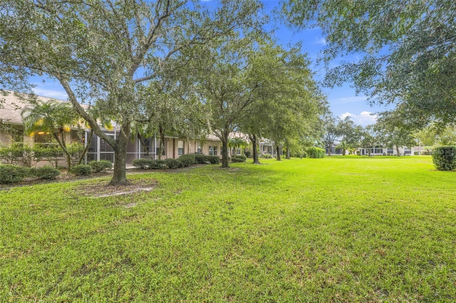 Mature landscaping - 1149 WOLFORD DR, NEW PORT RICHEY