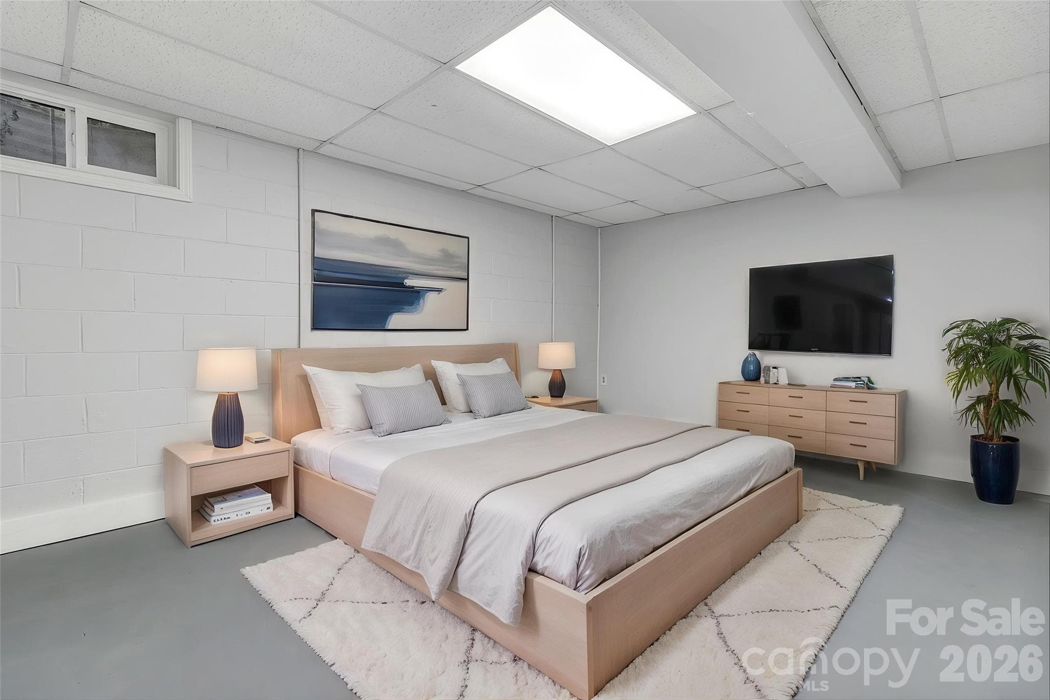 virtually staged lower bonus room - 25 Hickory Tree Road, Asheville