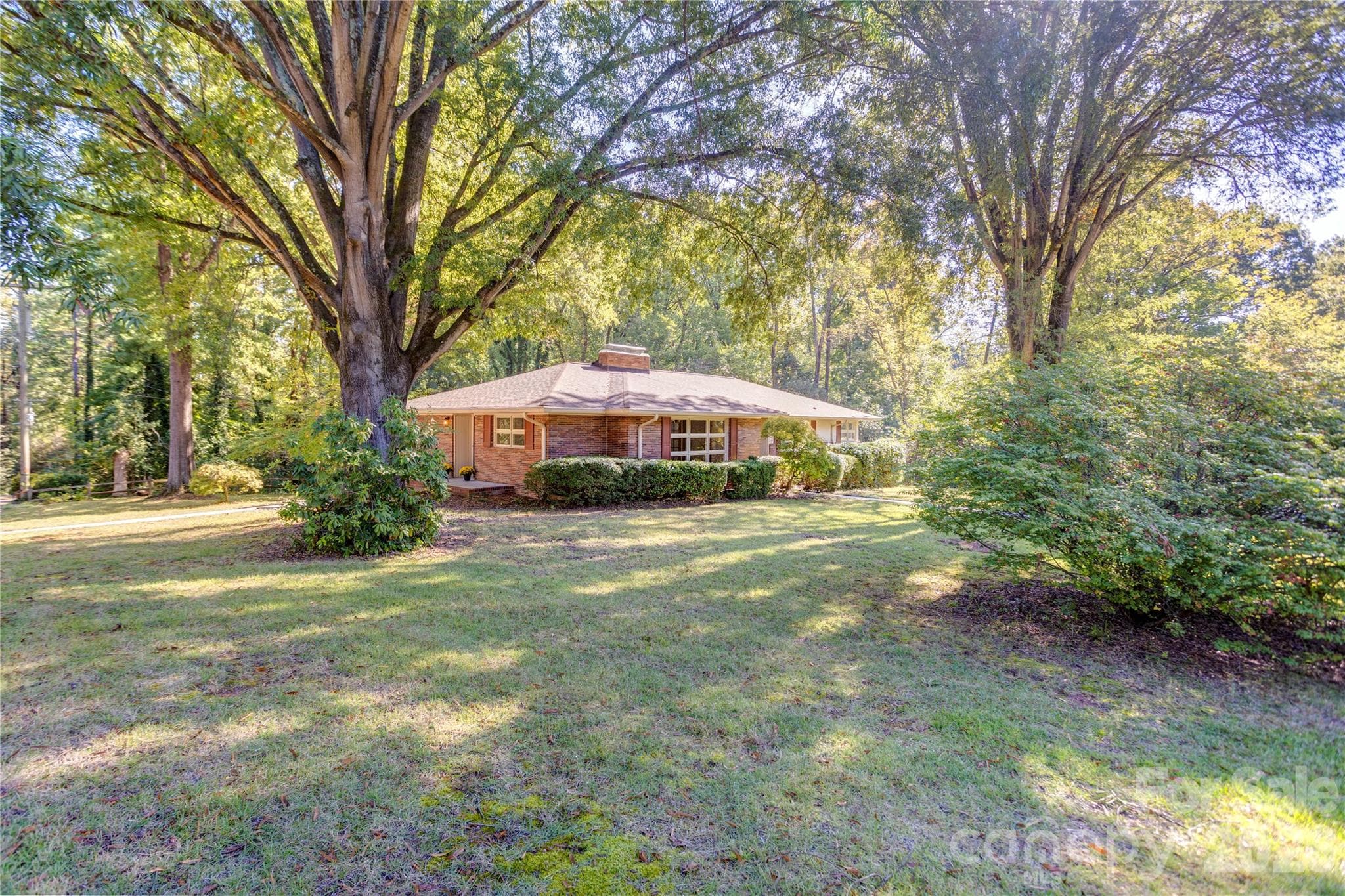 Established trees - 688 Grandview Drive NE, Concord