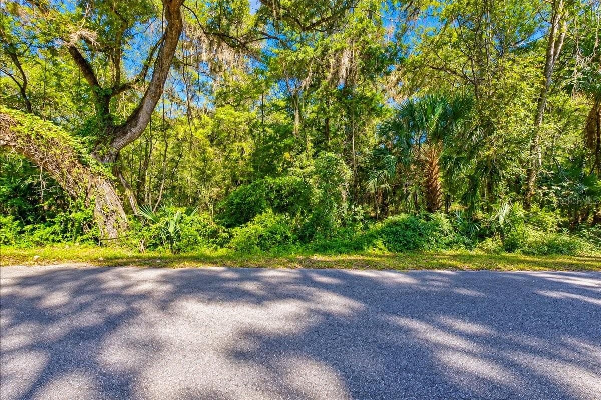 Land at NE 399TH ST, OLD TOWN, photo 2 of 6
