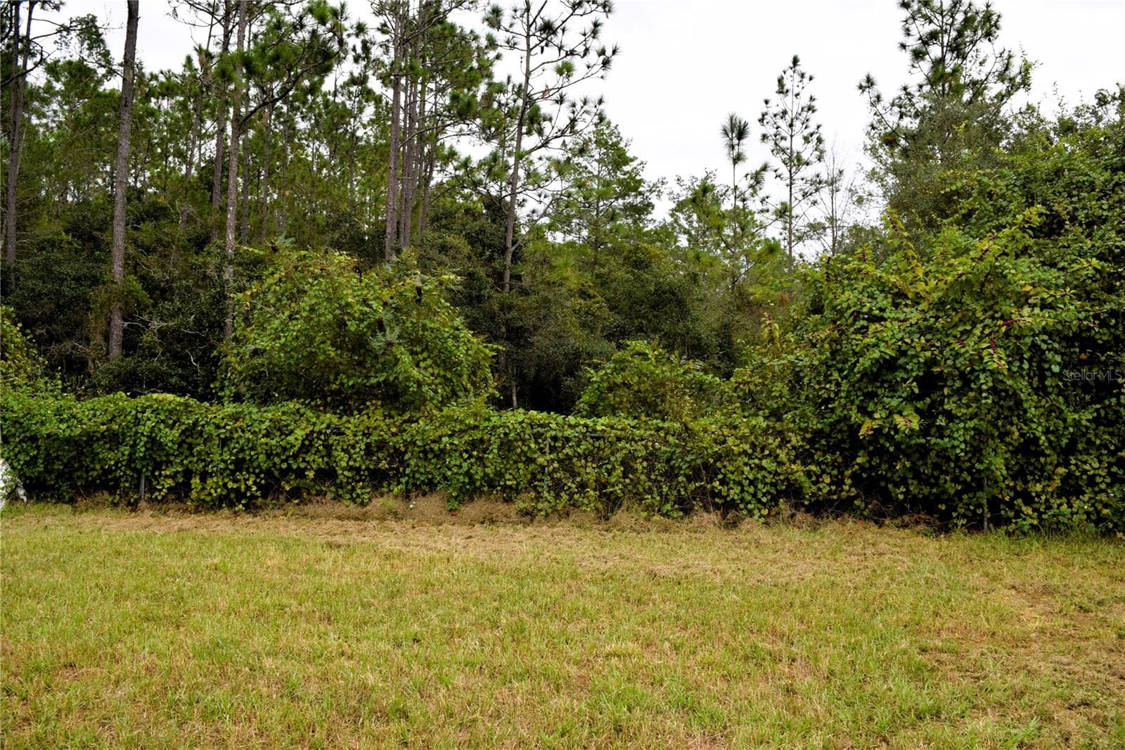 Single Family Residence at 1410 LODGE TER, DELTONA, photo 20 of 21