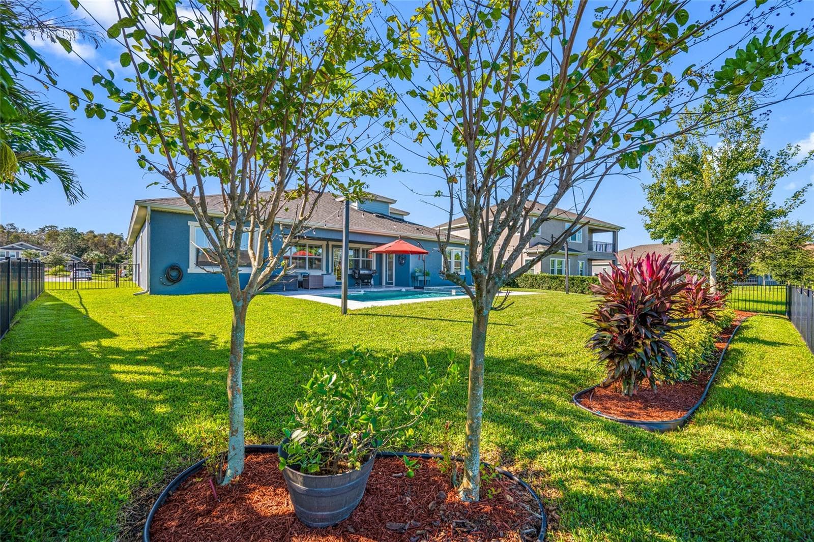 Backyard - 4161 GLADE WOOD LOOP, NEW PORT RICHEY