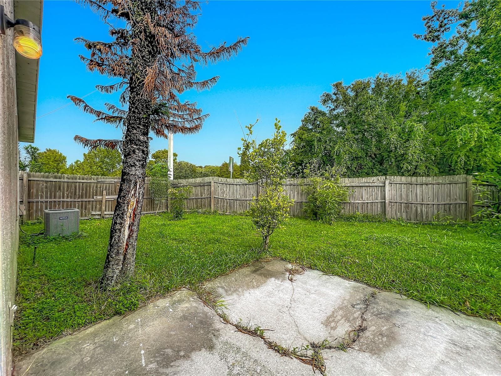 Single Family Residence at 1003 WINTERBERRY LN, ORLANDO, photo 20 of 31