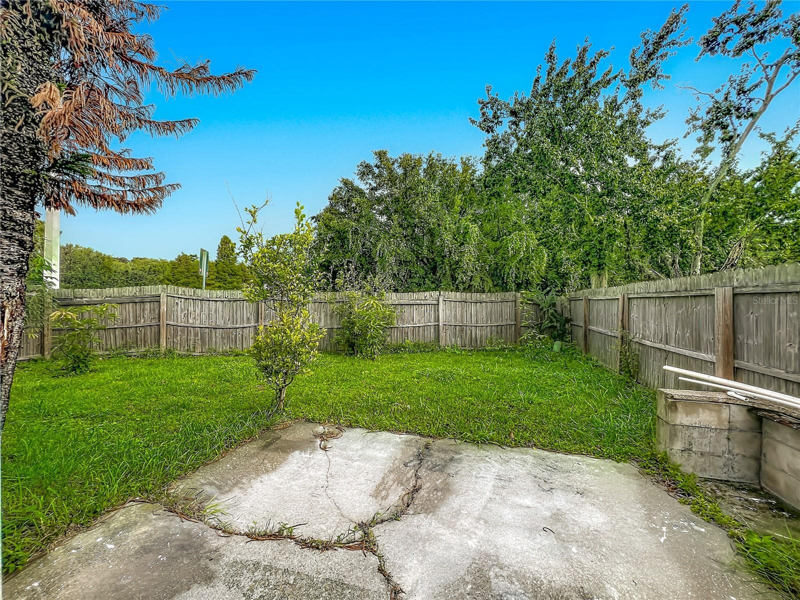 Single Family Residence at 1003 WINTERBERRY LN, ORLANDO, photo 23 of 31