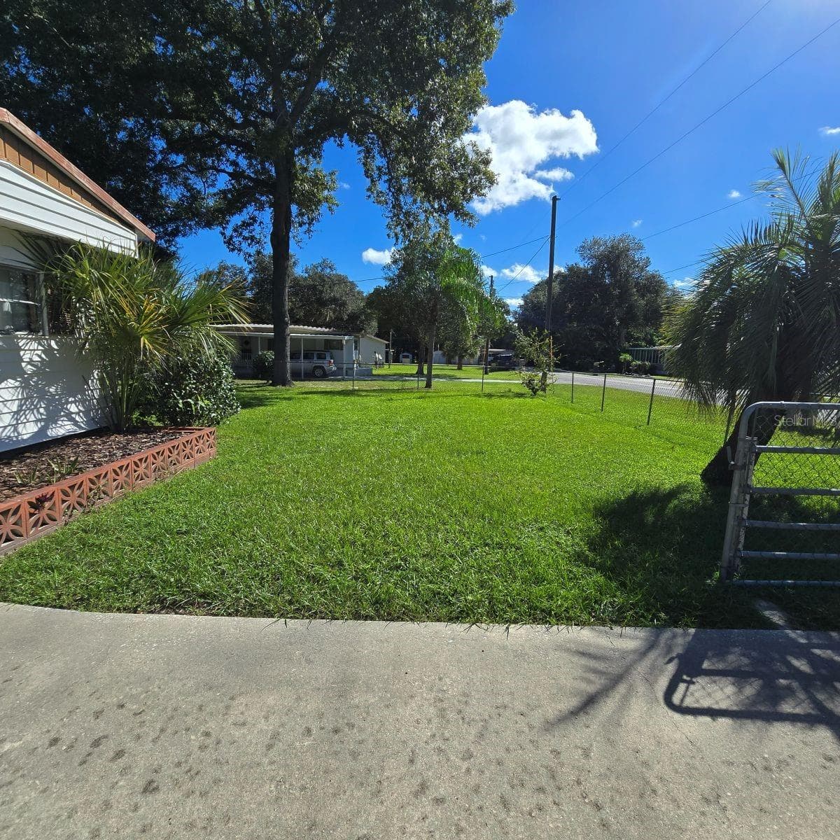 Front Yard - 9849 SE 160TH LN, SUMMERFIELD