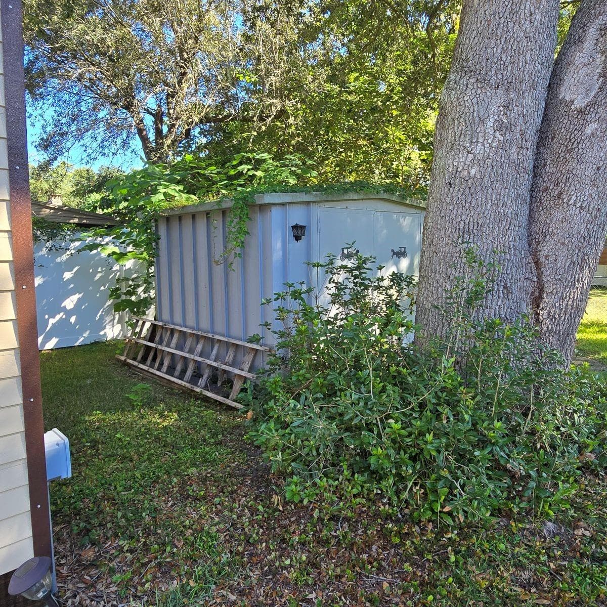 smaller shed - 9849 SE 160TH LN, SUMMERFIELD