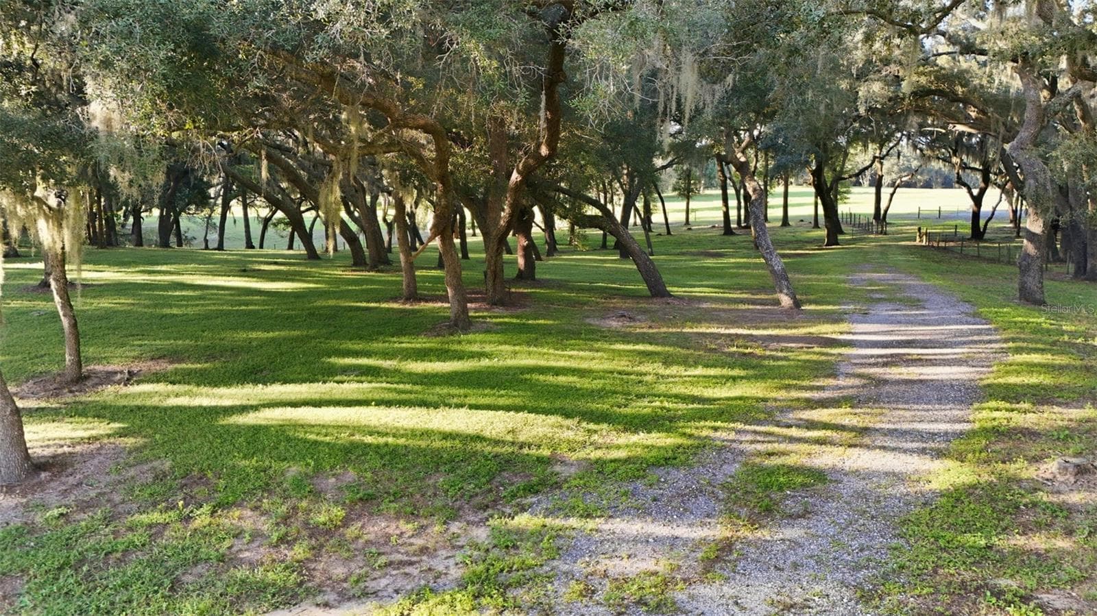 Majestic oak filled property in rear - 15211 VINOLA PL, MONTVERDE