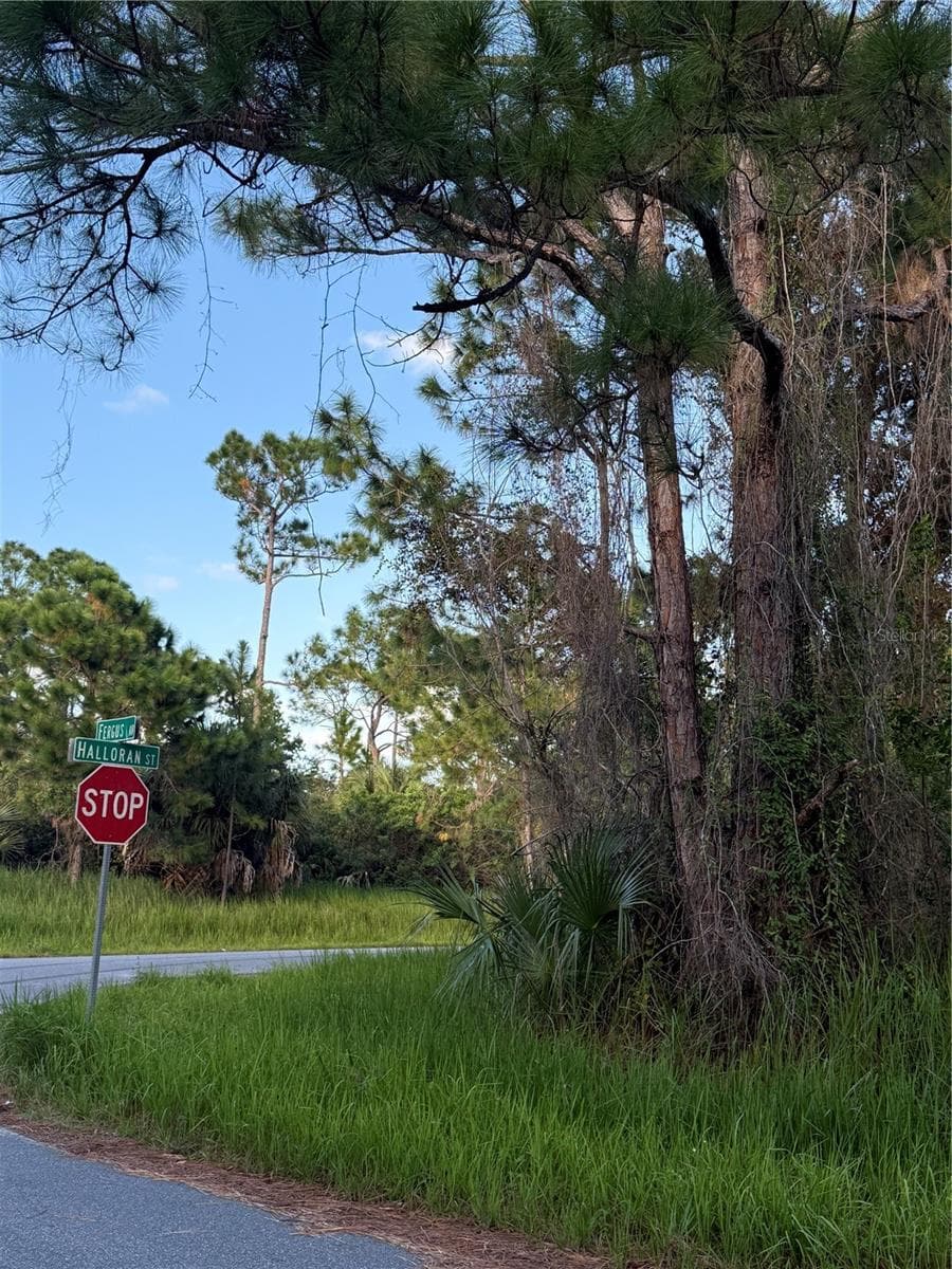 Land at FERGUS AVE, PALM BAY, photo 4 of 5
