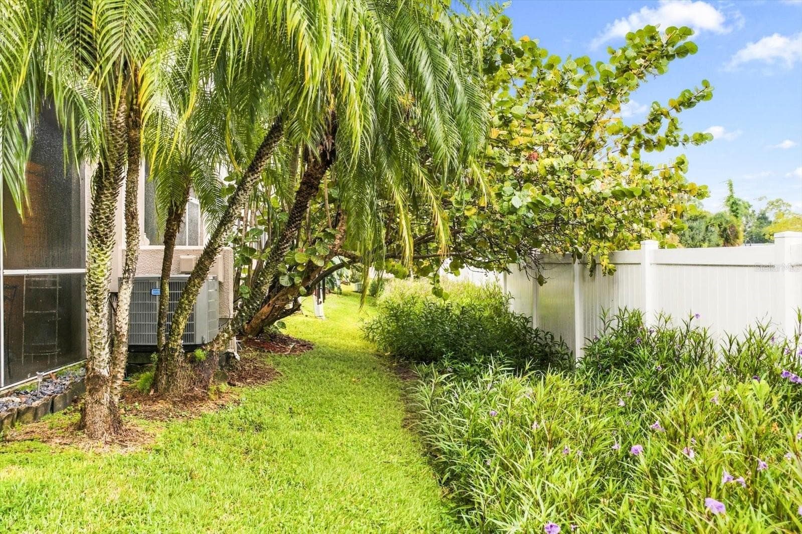 Backyard Area - 6681 80TH AVE N, PINELLAS PARK
