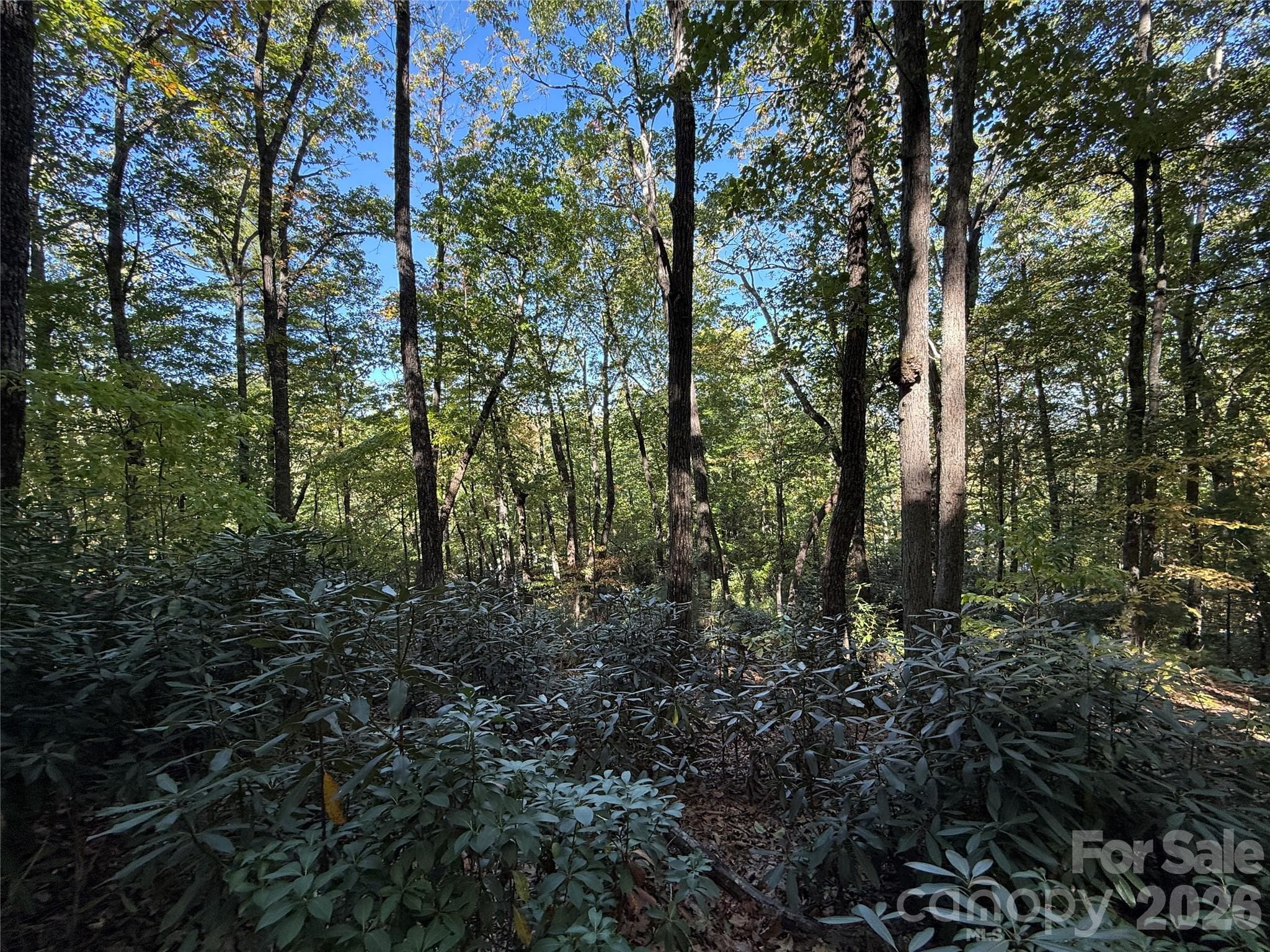 Lot 81 - R Kenmure Drive