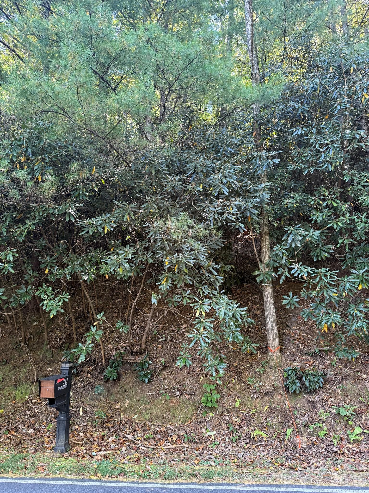Lot at Lot 81 - R Kenmure Drive, Flat Rock, photo 3 of 38