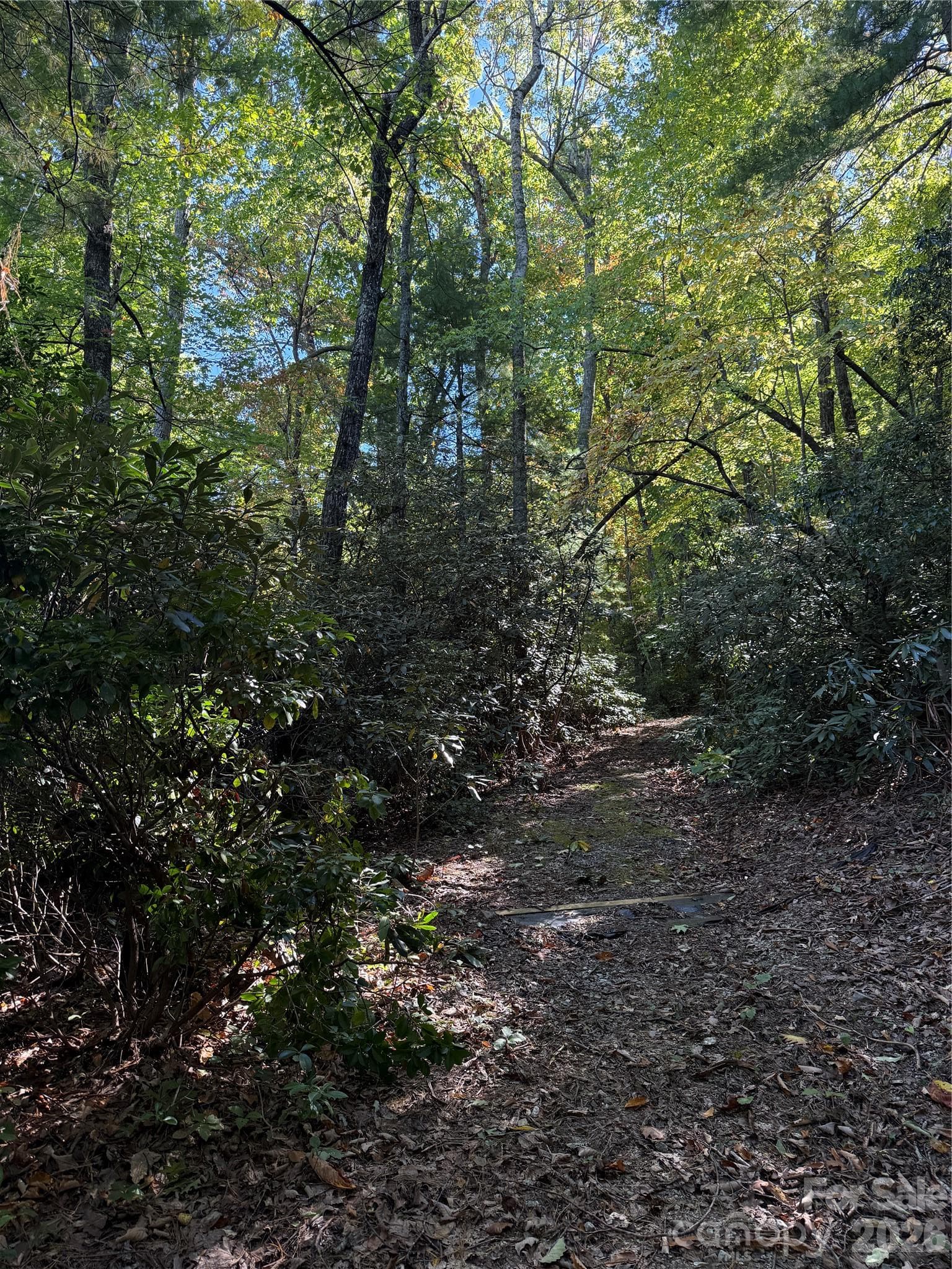 Lot at Lot 81 - R Kenmure Drive, Flat Rock, photo 4 of 38