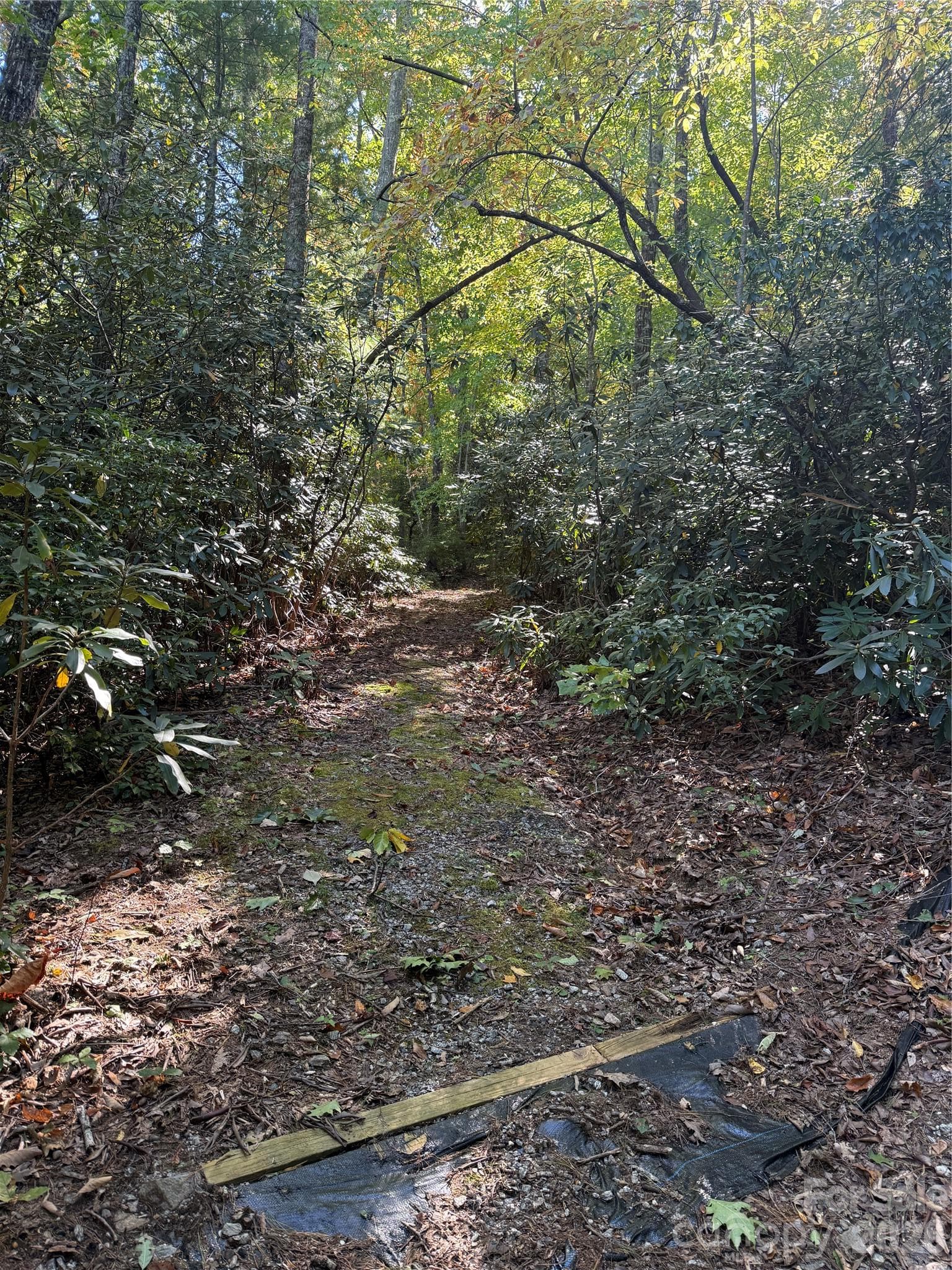 Lot at Lot 81 - R Kenmure Drive, Flat Rock, photo 5 of 38