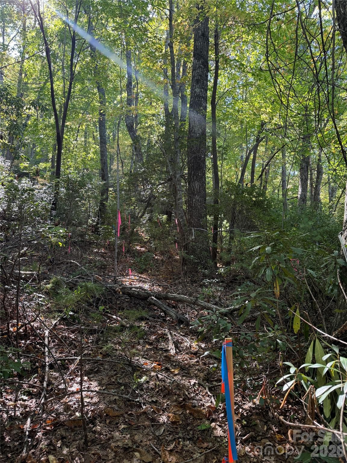 Lot at Lot 81 - R Kenmure Drive, Flat Rock, photo 6 of 38