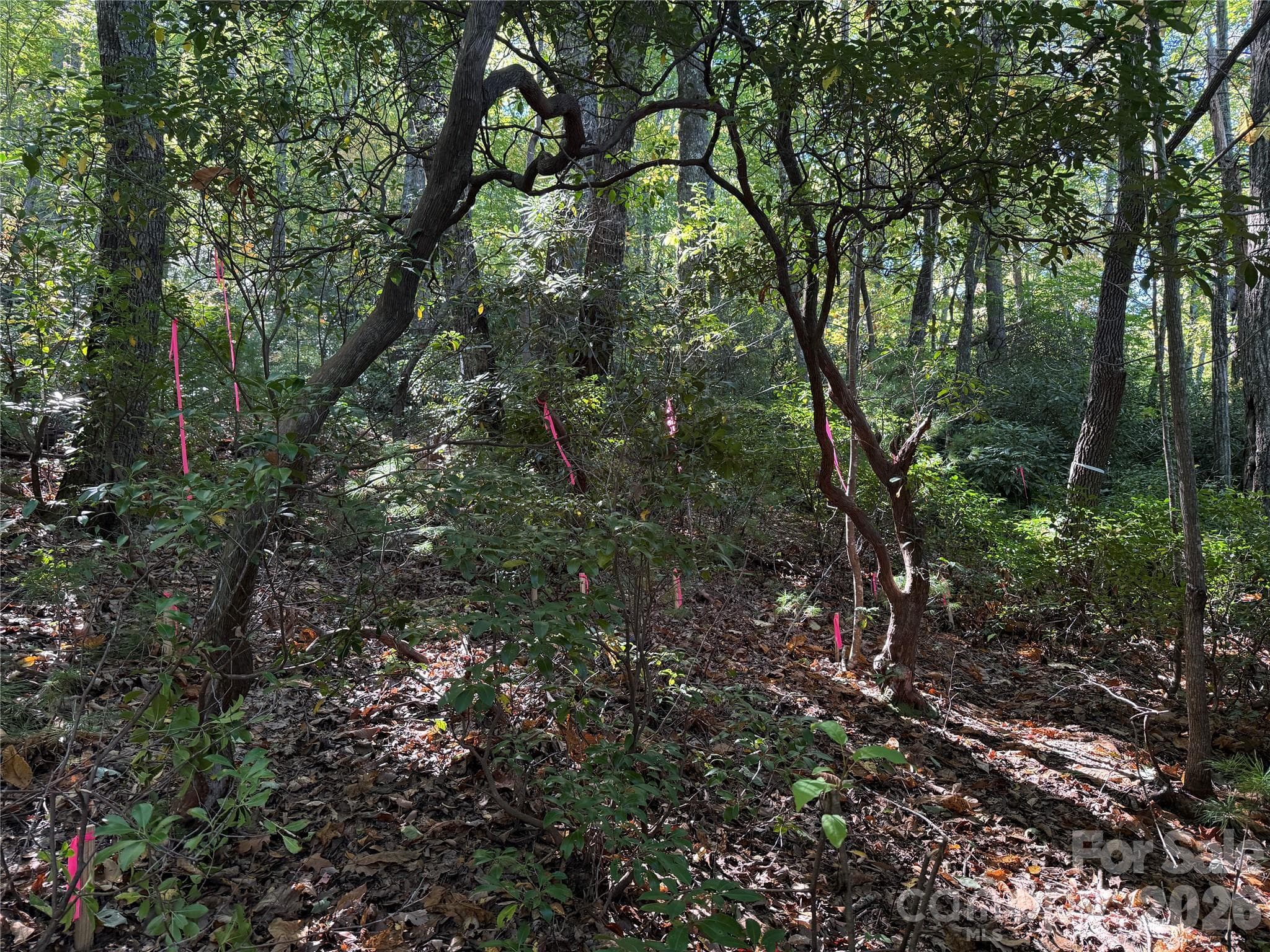 Lot at Lot 81 - R Kenmure Drive, Flat Rock, photo 11 of 38