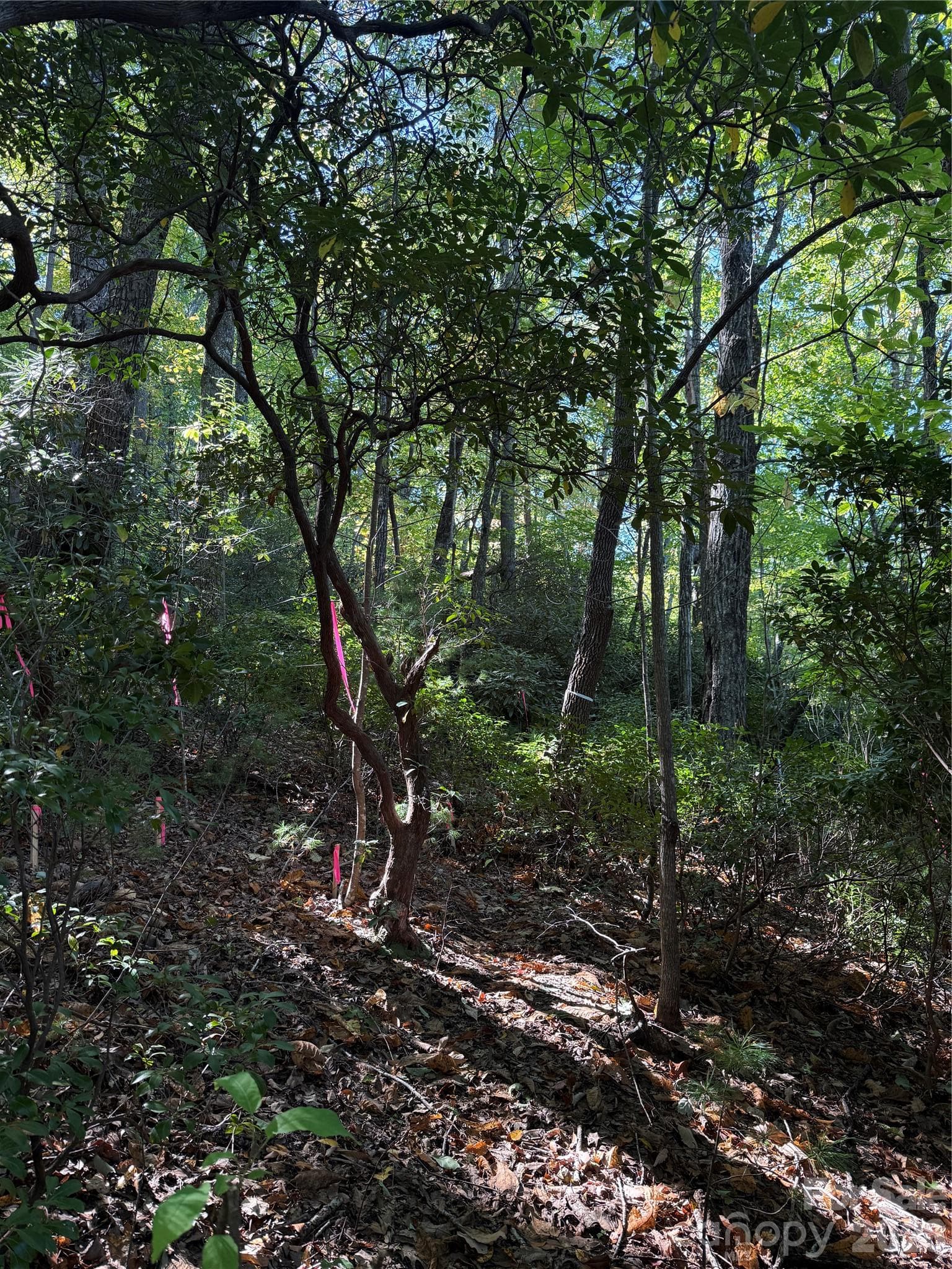 Lot at Lot 81 - R Kenmure Drive, Flat Rock, photo 13 of 38