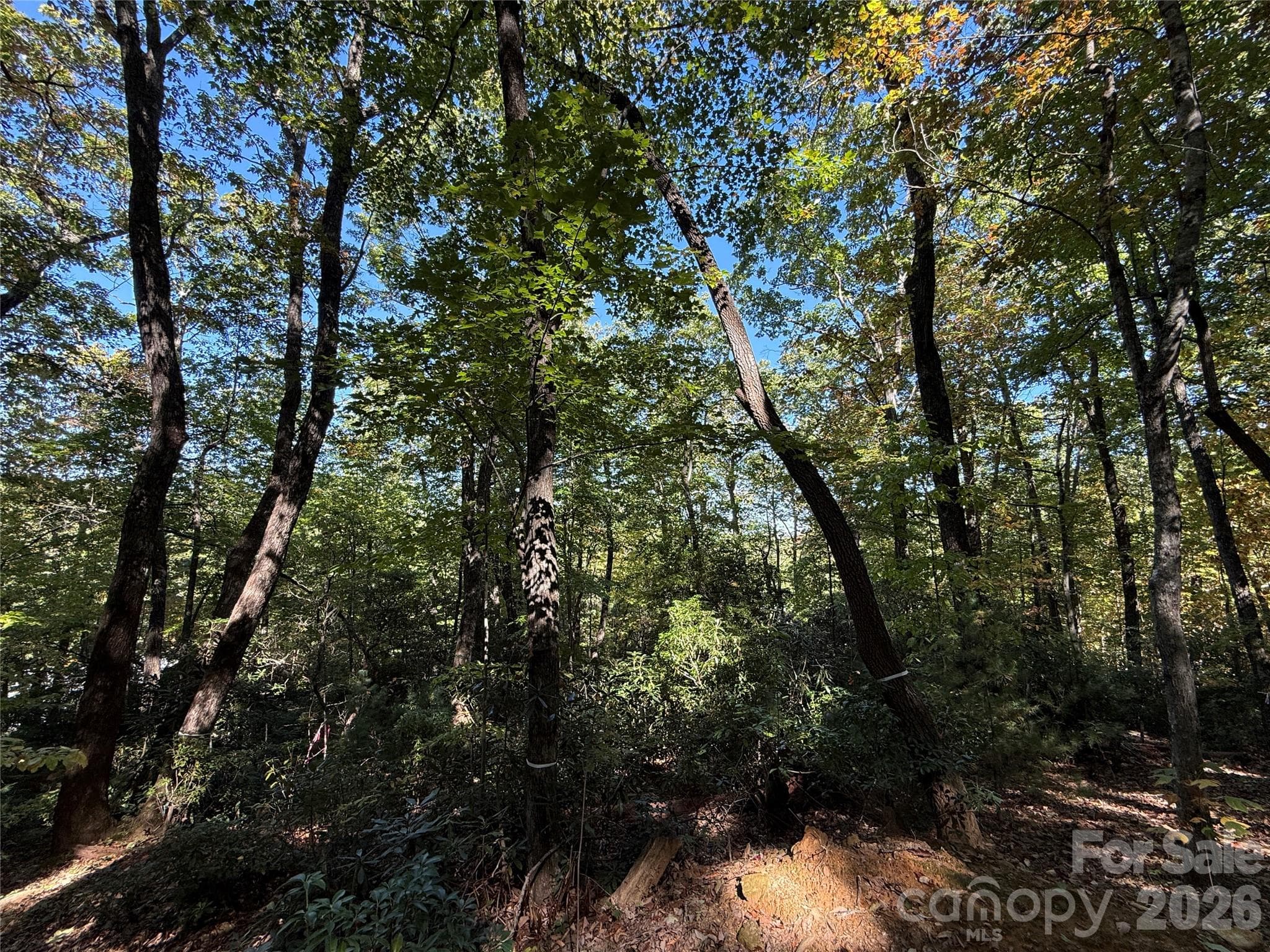 Lot at Lot 81 - R Kenmure Drive, Flat Rock, photo 14 of 38