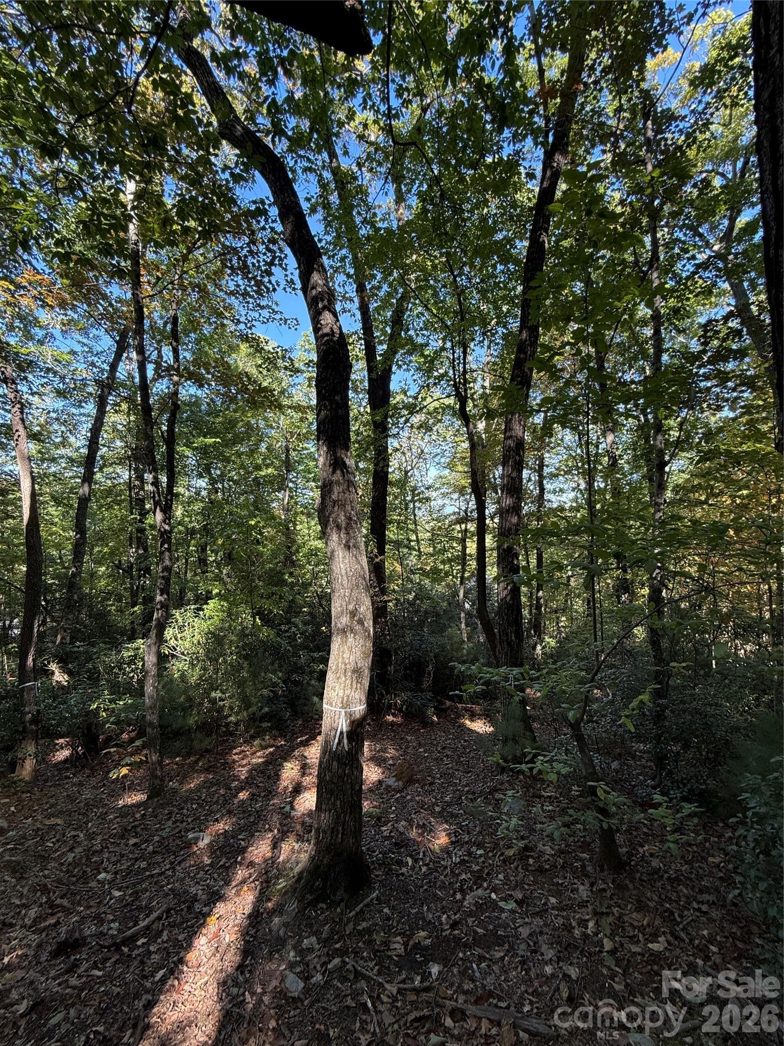 Lot at Lot 81 - R Kenmure Drive, Flat Rock, photo 15 of 38