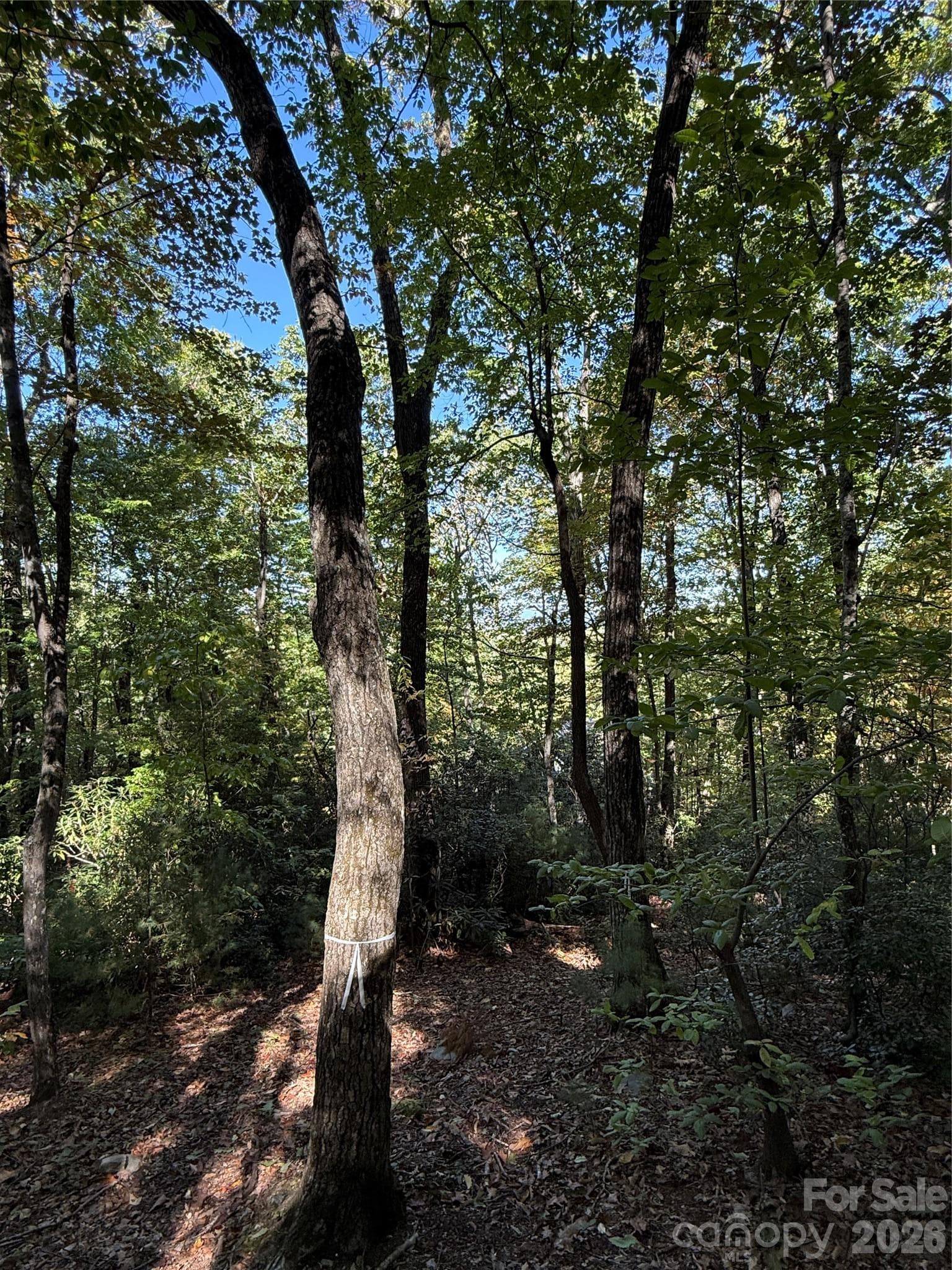 Lot at Lot 81 - R Kenmure Drive, Flat Rock, photo 16 of 38