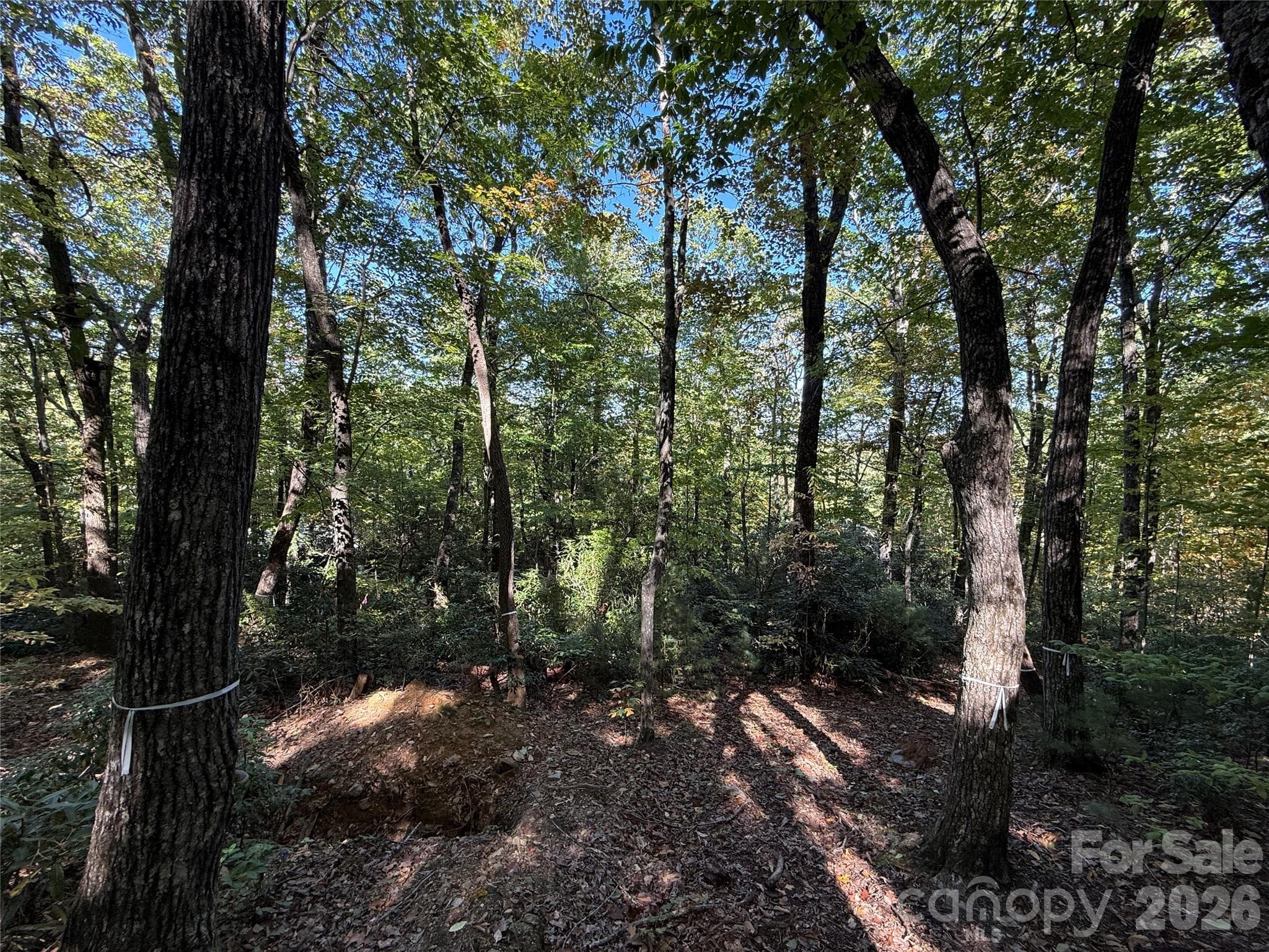 Lot at Lot 81 - R Kenmure Drive, Flat Rock, photo 18 of 38