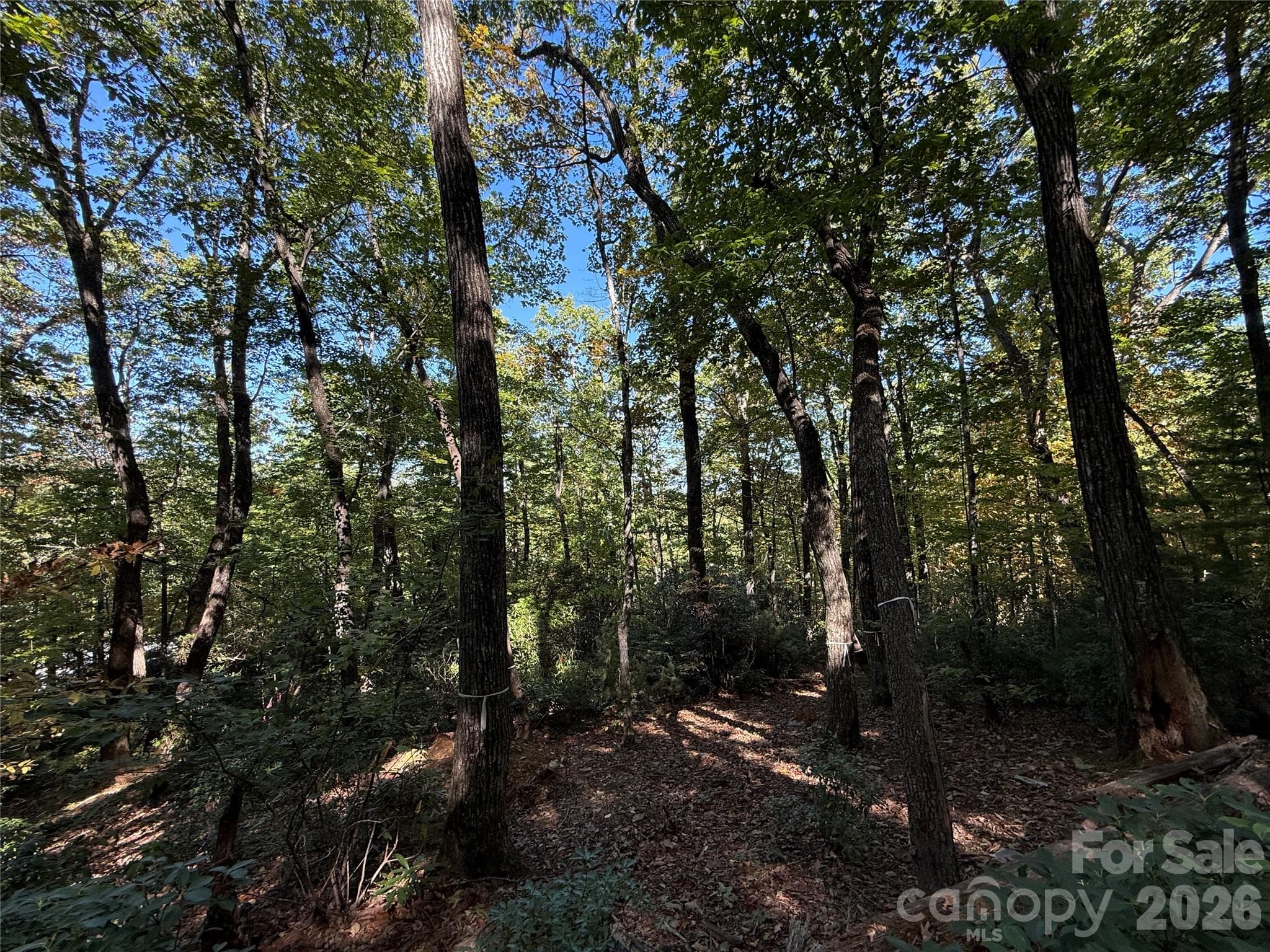 Lot at Lot 81 - R Kenmure Drive, Flat Rock, photo 19 of 38