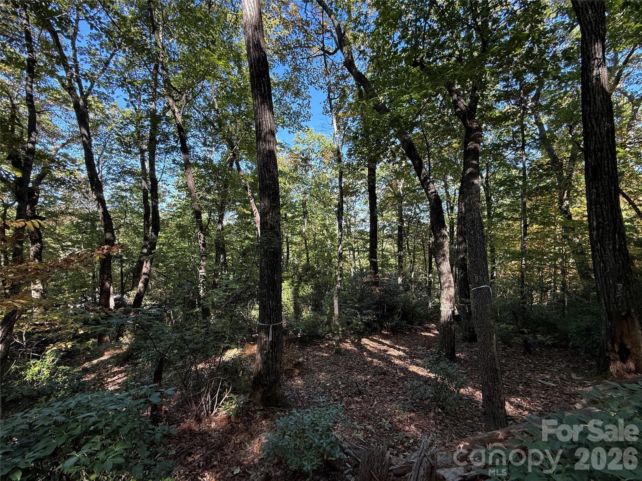 Lot at Lot 81 - R Kenmure Drive, Flat Rock, photo 21 of 38