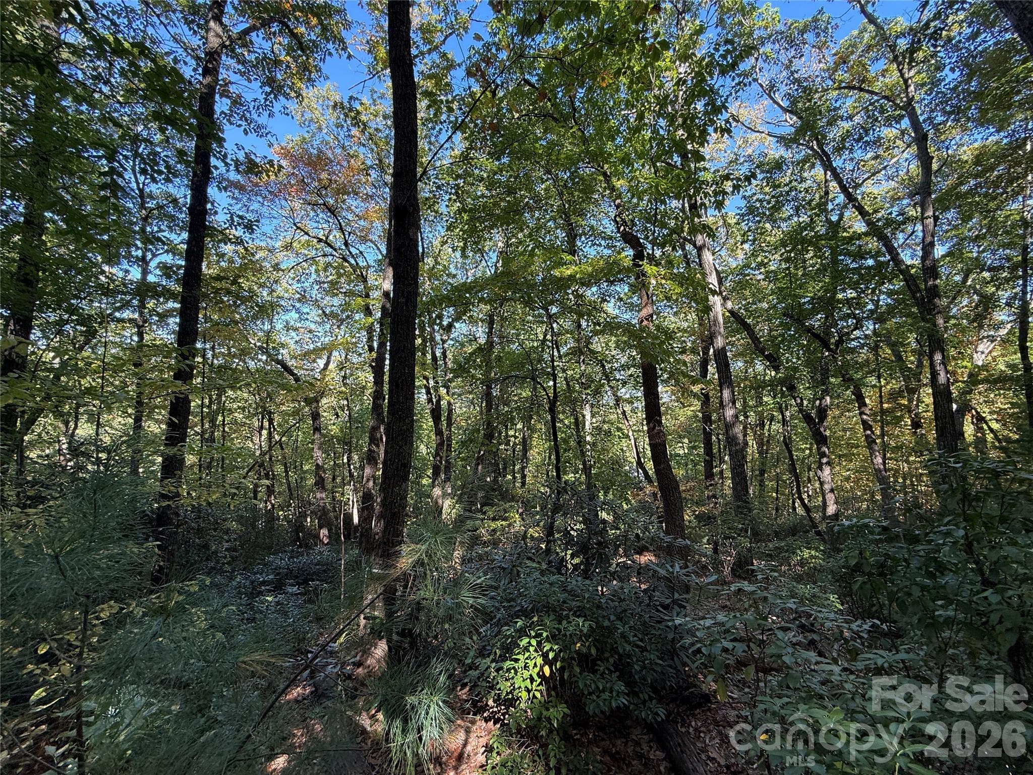 Lot at Lot 81 - R Kenmure Drive, Flat Rock, photo 22 of 38