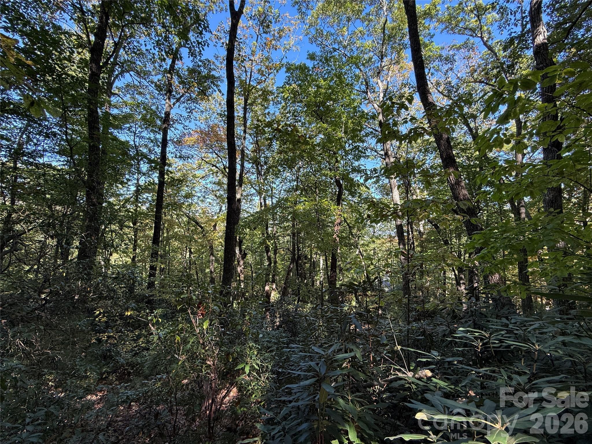 Lot at Lot 81 - R Kenmure Drive, Flat Rock, photo 23 of 38