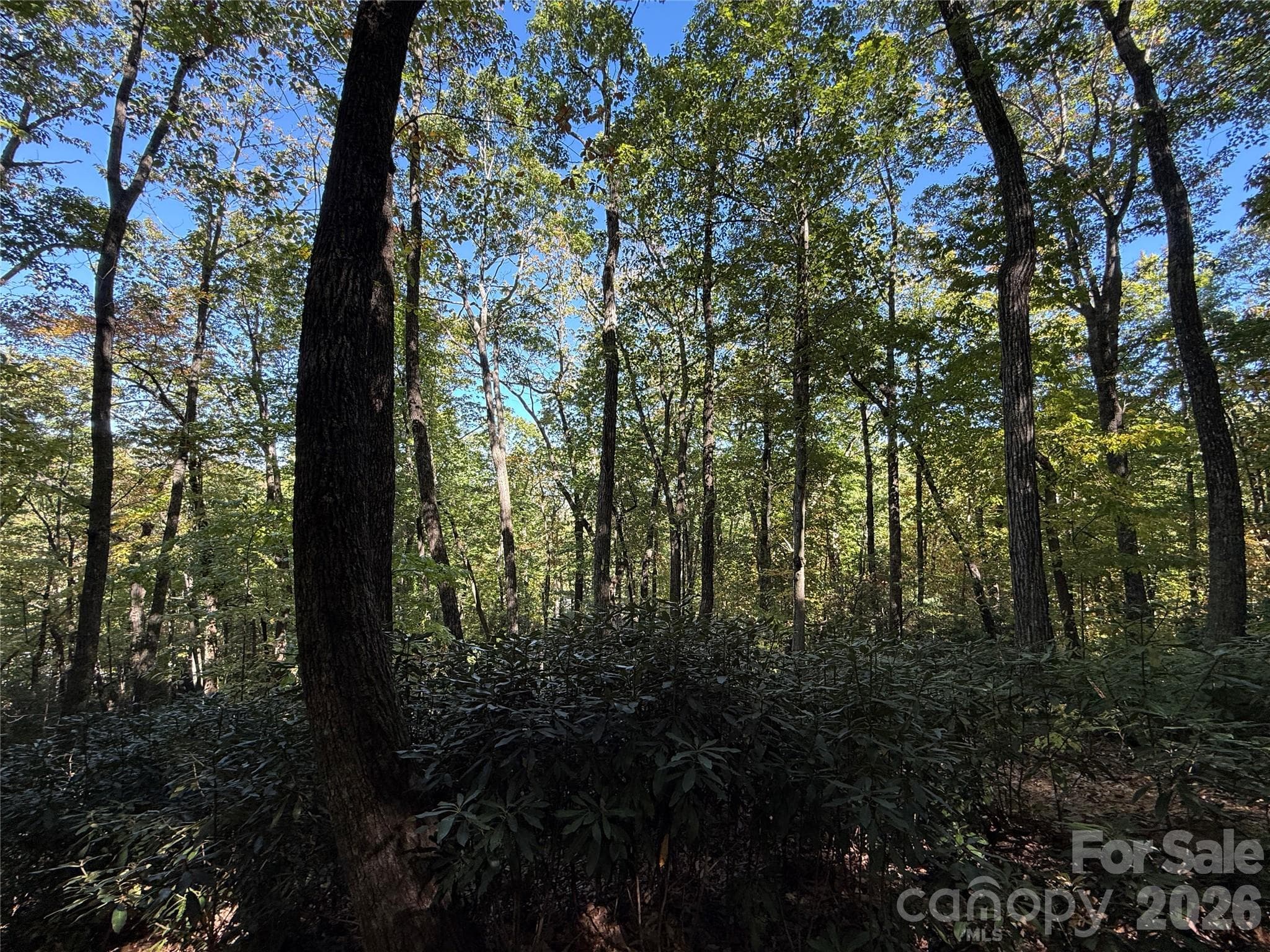 Lot at Lot 81 - R Kenmure Drive, Flat Rock, photo 25 of 38