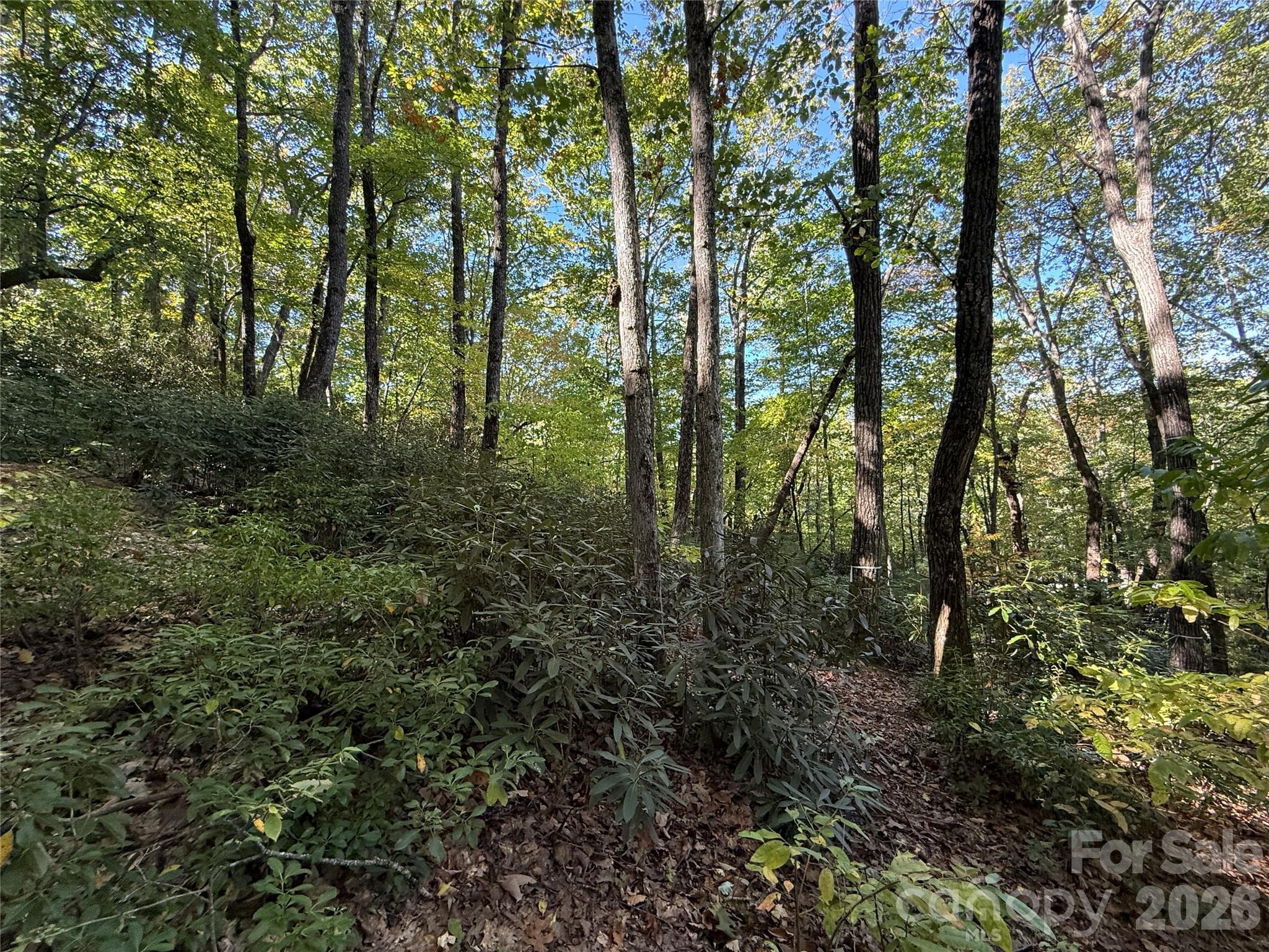 Lot at Lot 81 - R Kenmure Drive, Flat Rock, photo 26 of 38