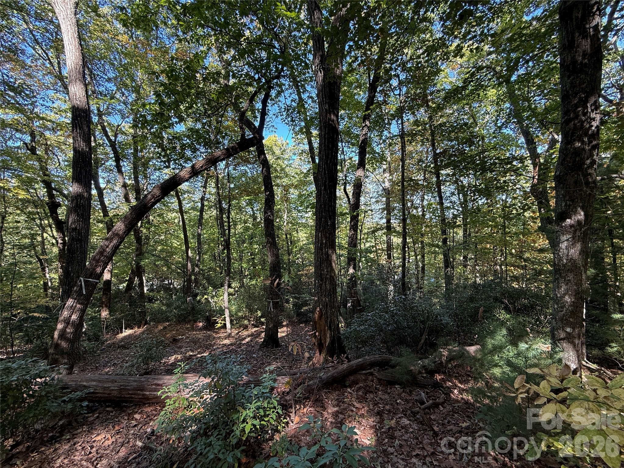 Lot at Lot 81 - R Kenmure Drive, Flat Rock, photo 27 of 38