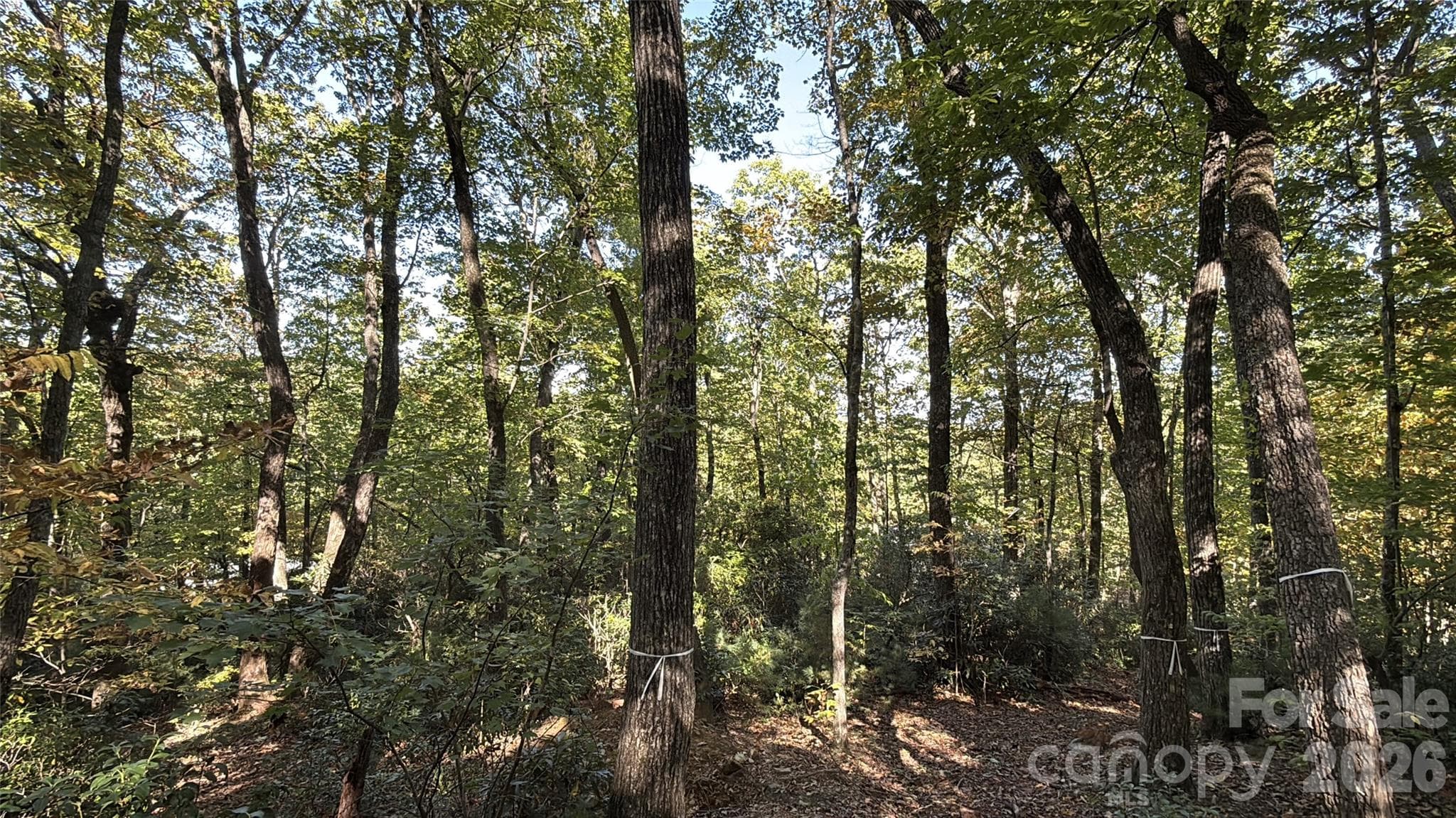 Lot at Lot 81 - R Kenmure Drive, Flat Rock, photo 29 of 38