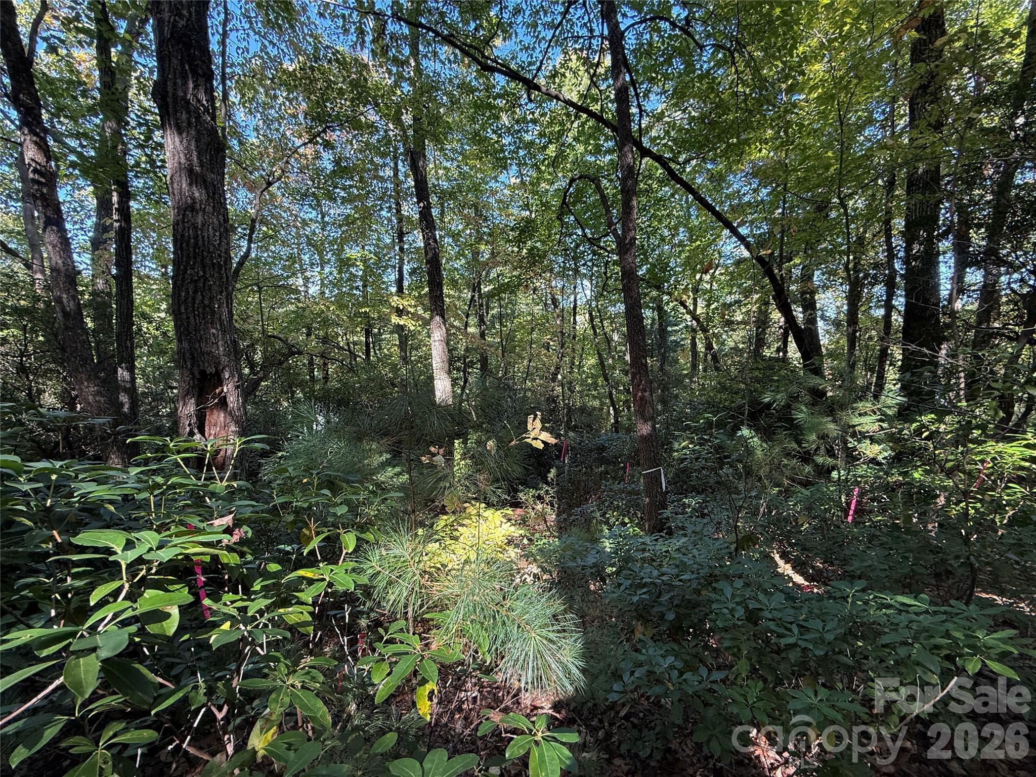 Lot at Lot 81 - R Kenmure Drive, Flat Rock, photo 30 of 38