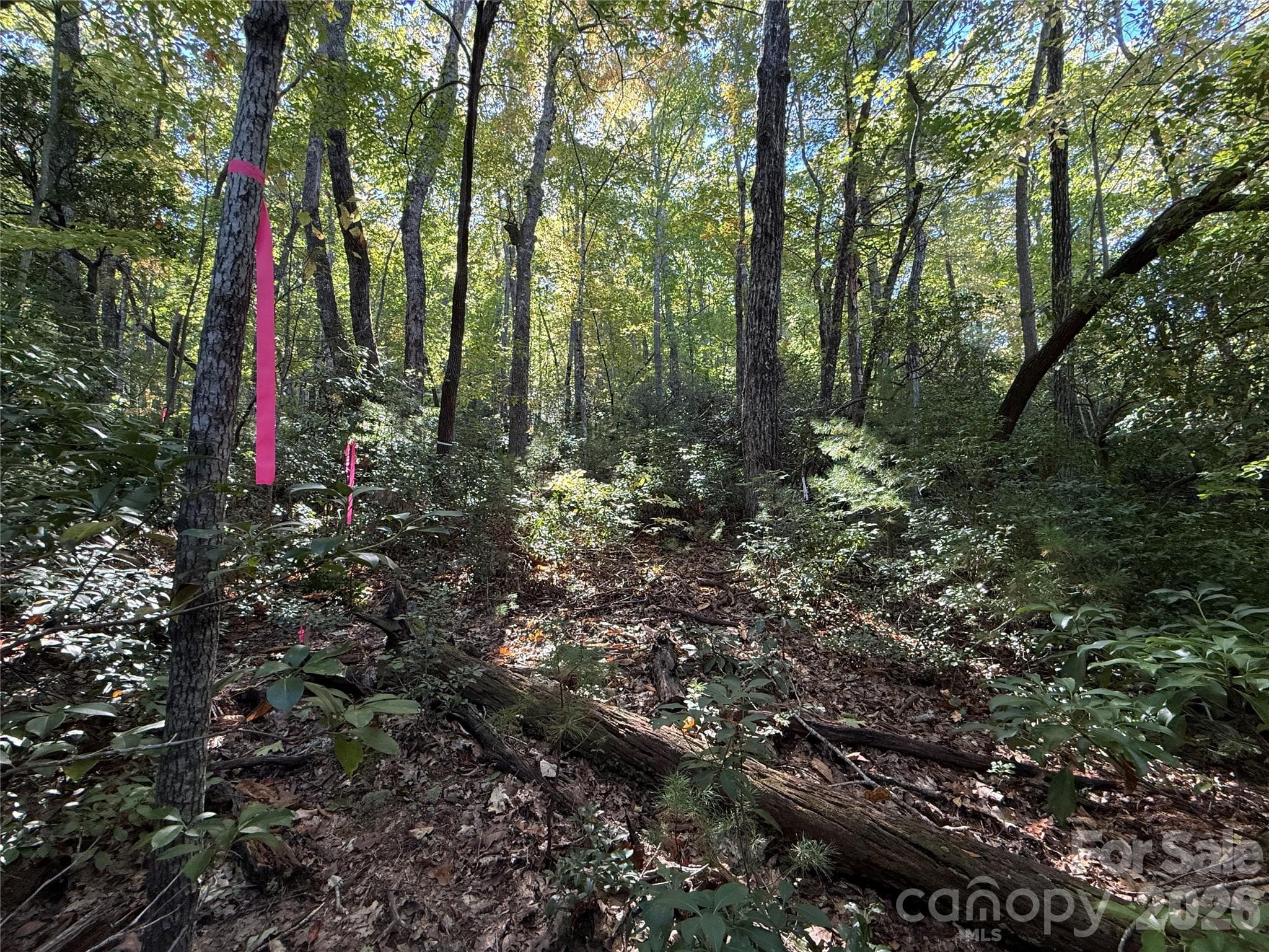 Lot at Lot 81 - R Kenmure Drive, Flat Rock, photo 32 of 38