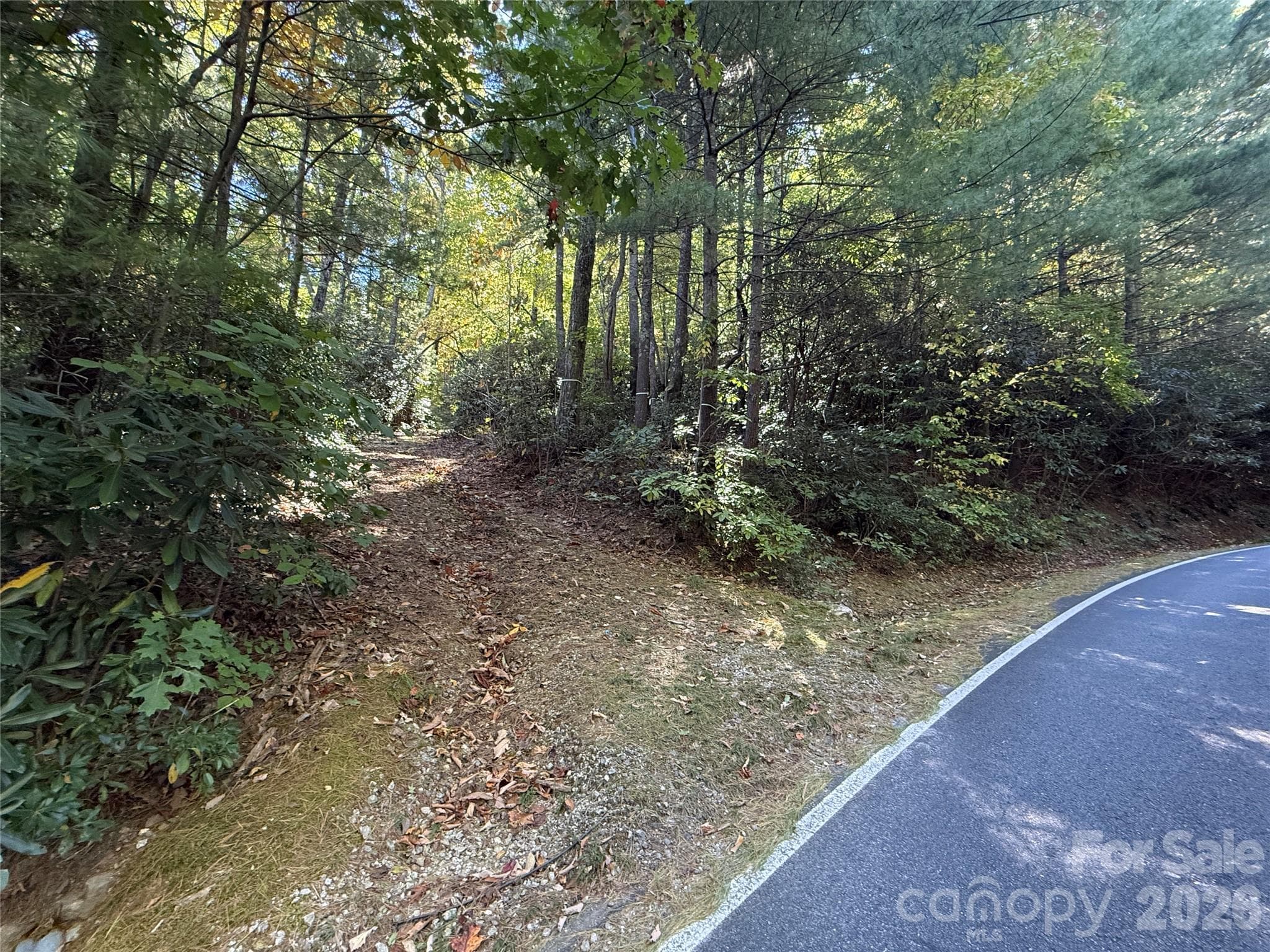 Lot at Lot 81 - R Kenmure Drive, Flat Rock, photo 33 of 38