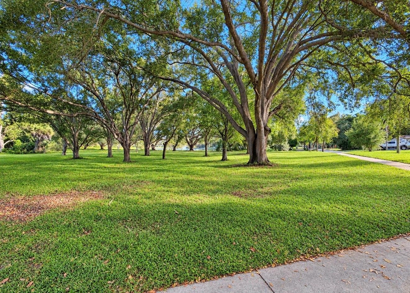 Park like setting at the end of the block - 1231 ROSEWOOD ST, LARGO