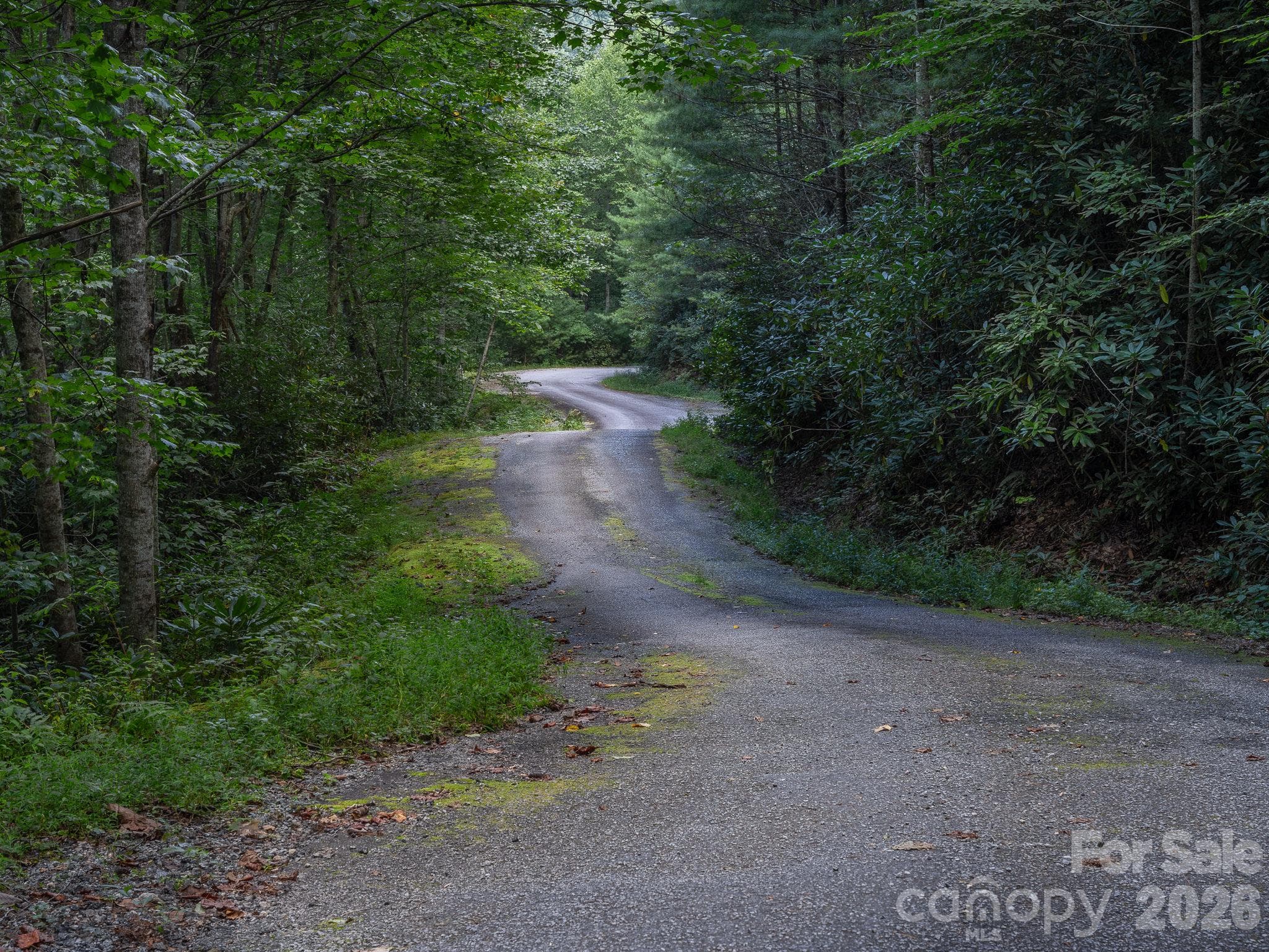 River Ridges Road - Lot 7 W Chestnut Ridges Road, Hendersonville