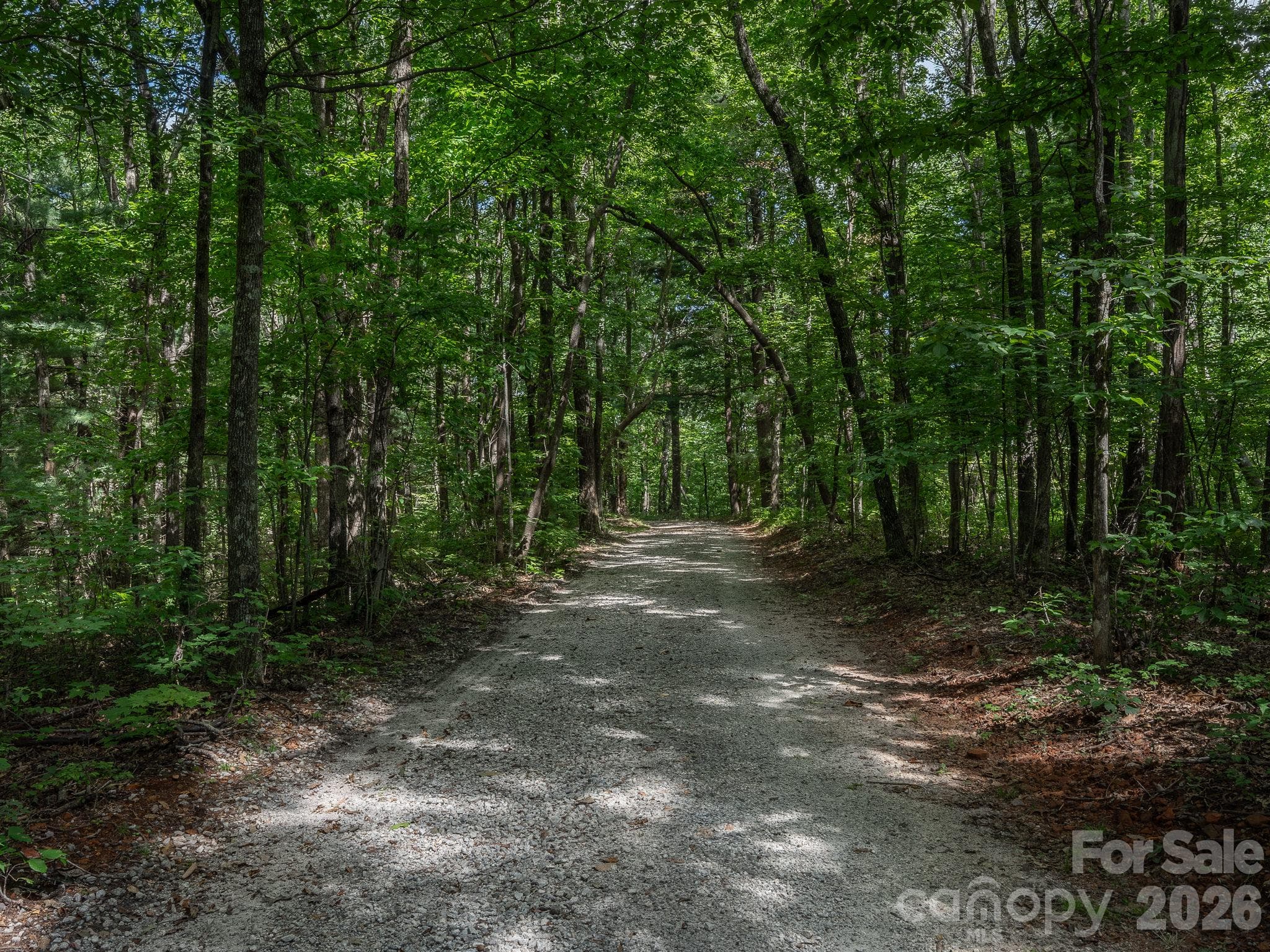 West Chestnut Ridges Road - Lot 7 W Chestnut Ridges Road, Hendersonville