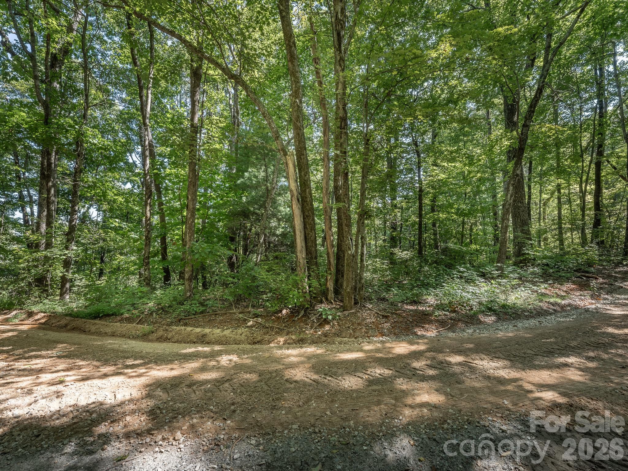 Lot from West Chestnut Ridges Road - Lot 7 W Chestnut Ridges Road, Hendersonville