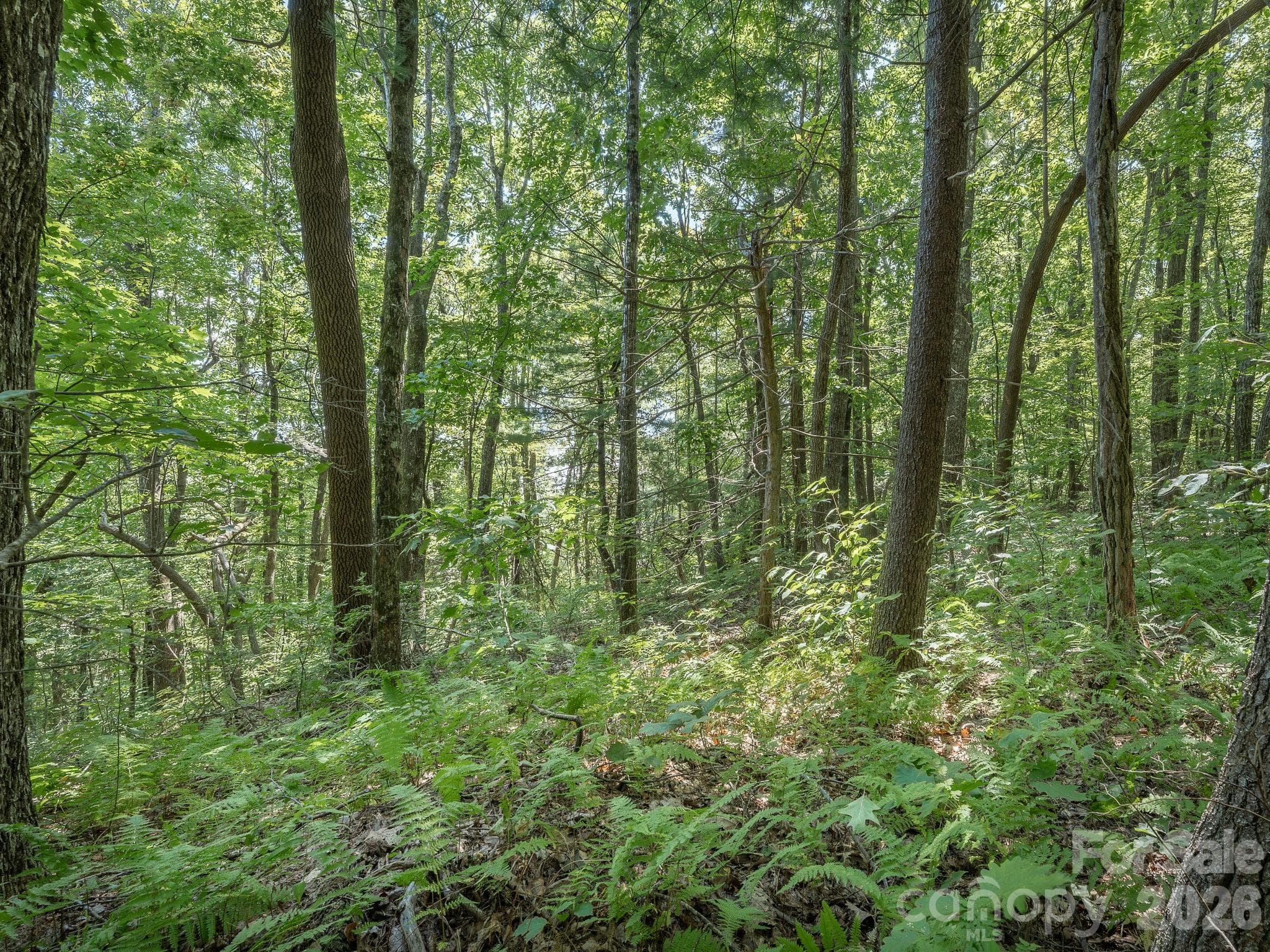 Lot - Lot 7 W Chestnut Ridges Road, Hendersonville