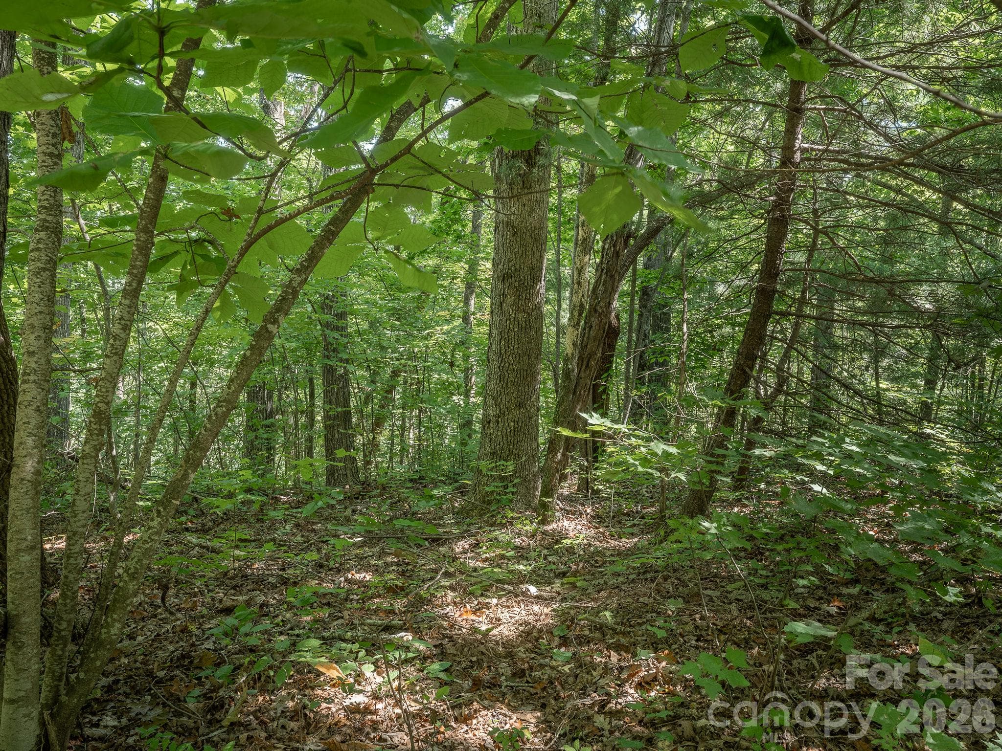Lot - Lot 7 W Chestnut Ridges Road, Hendersonville