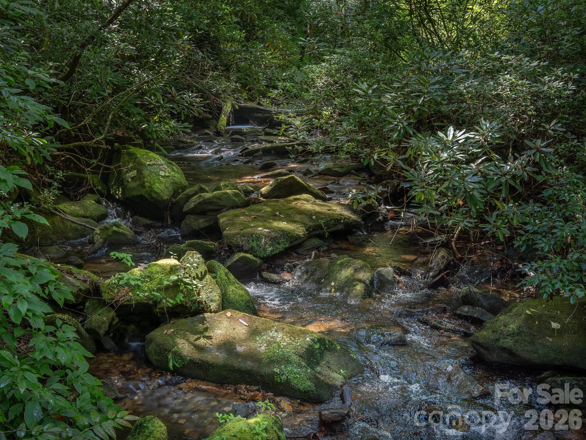 Surrounding area in close proximity to the lot, but outside of the community. - Lot 7 W Chestnut Ridges Road, Hendersonville