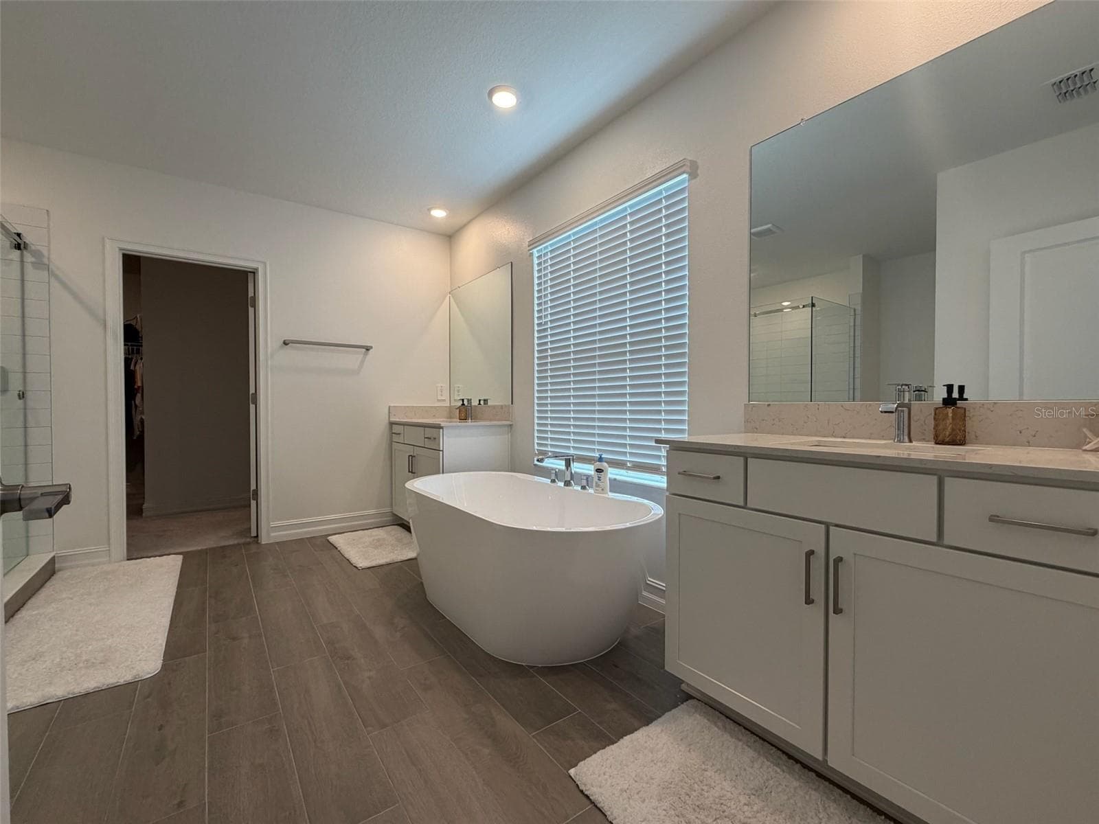 Single Family Residence at 18125 SERENE LAKE LOOP, LUTZ, photo 17 of 25