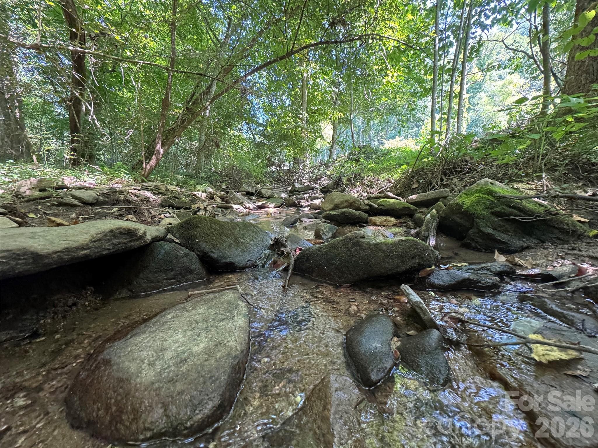 Acreage at 401 ± Upper Flat Creek Road, Weaverville, photo 7 of 44